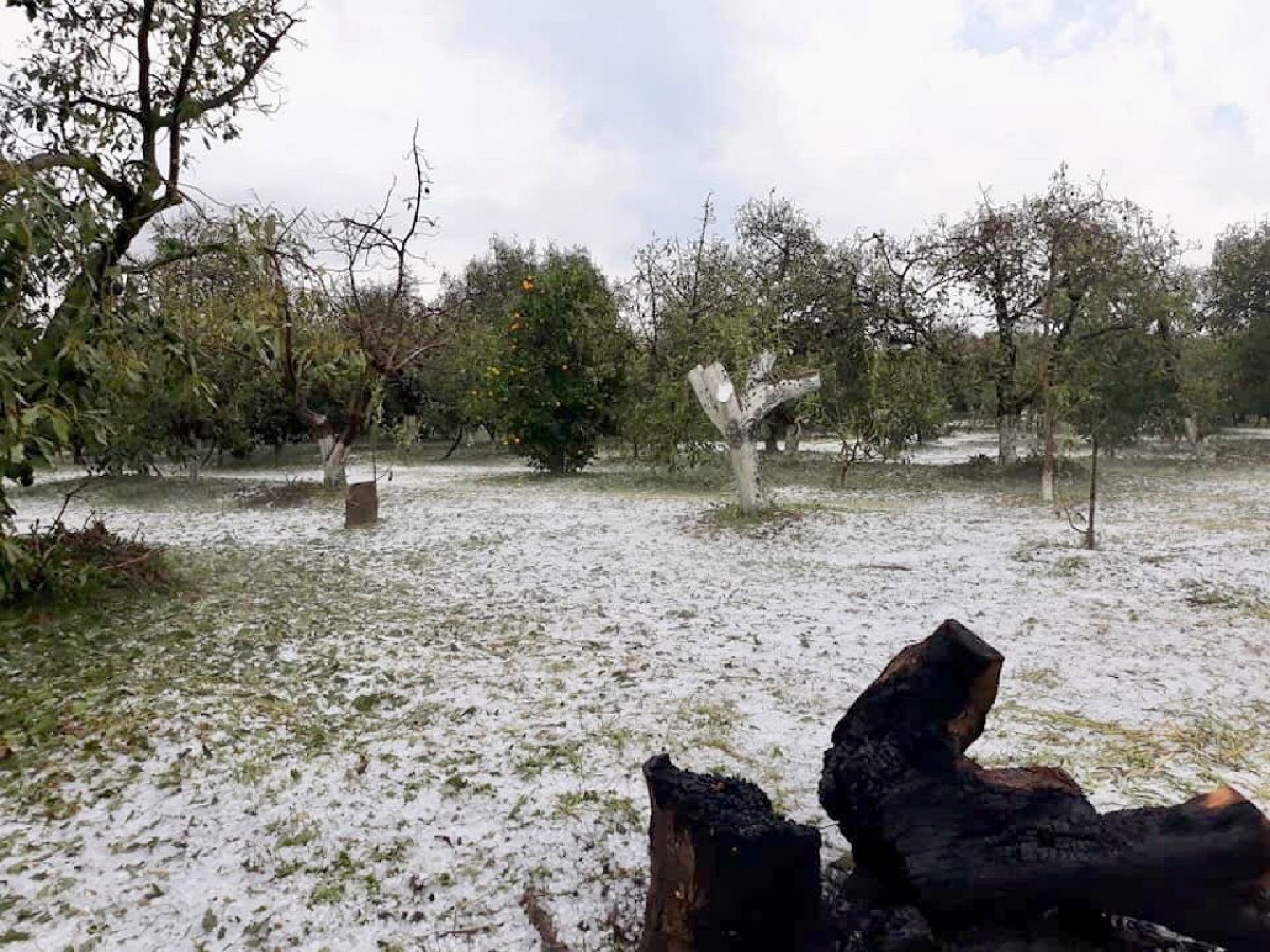 Cuantiosos daños dejó granizada en los Altos de Morelos