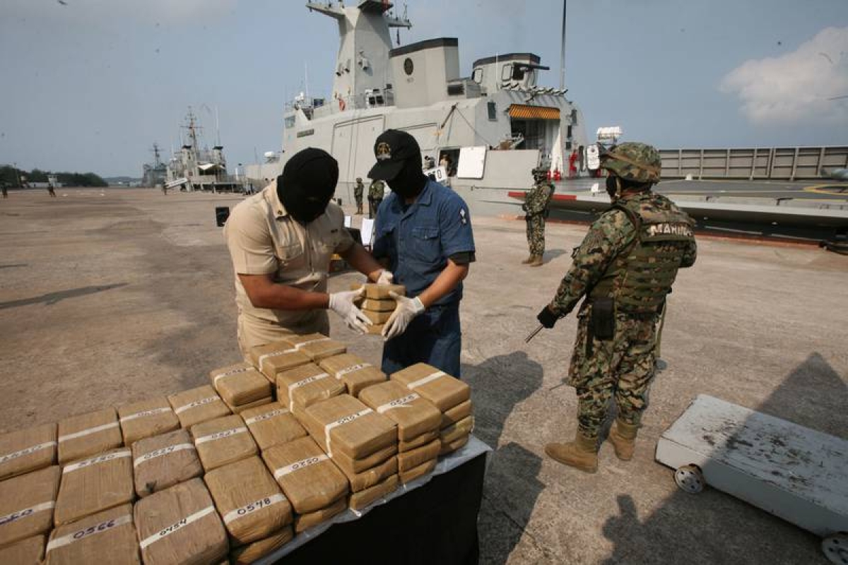 Se desploman los decomisos de cocaína en México por parte de las Fuerzas Armadas