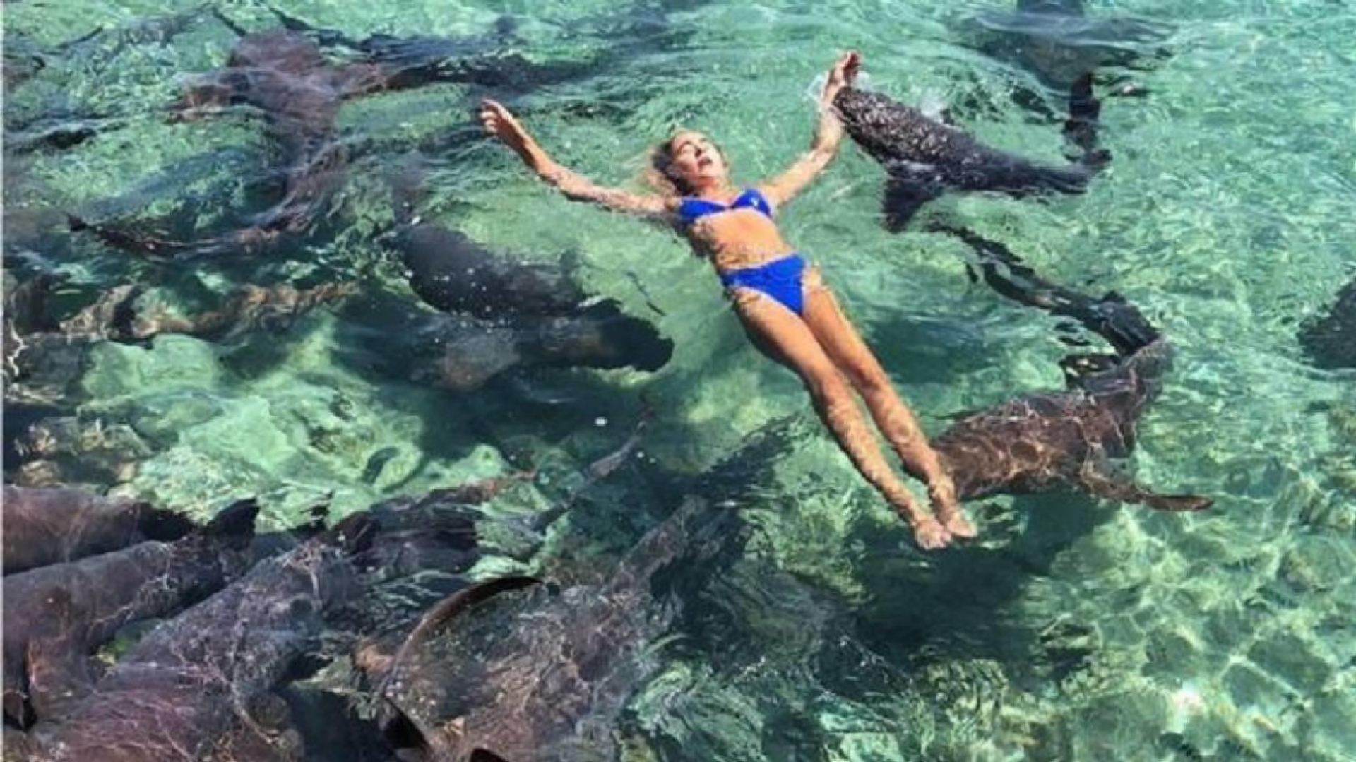 Modelo posa con tiburones y la atacan en plena sesión
