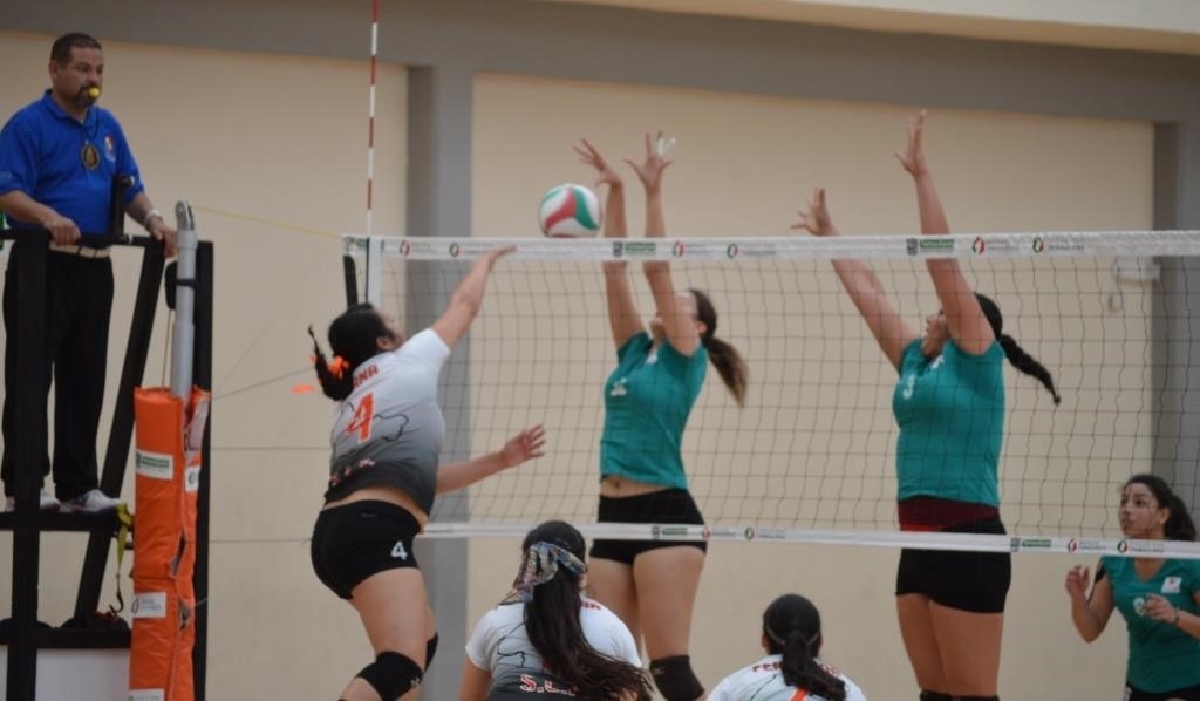 Se juega la fecha 8 de la Liga Estudiantil de Voleibol