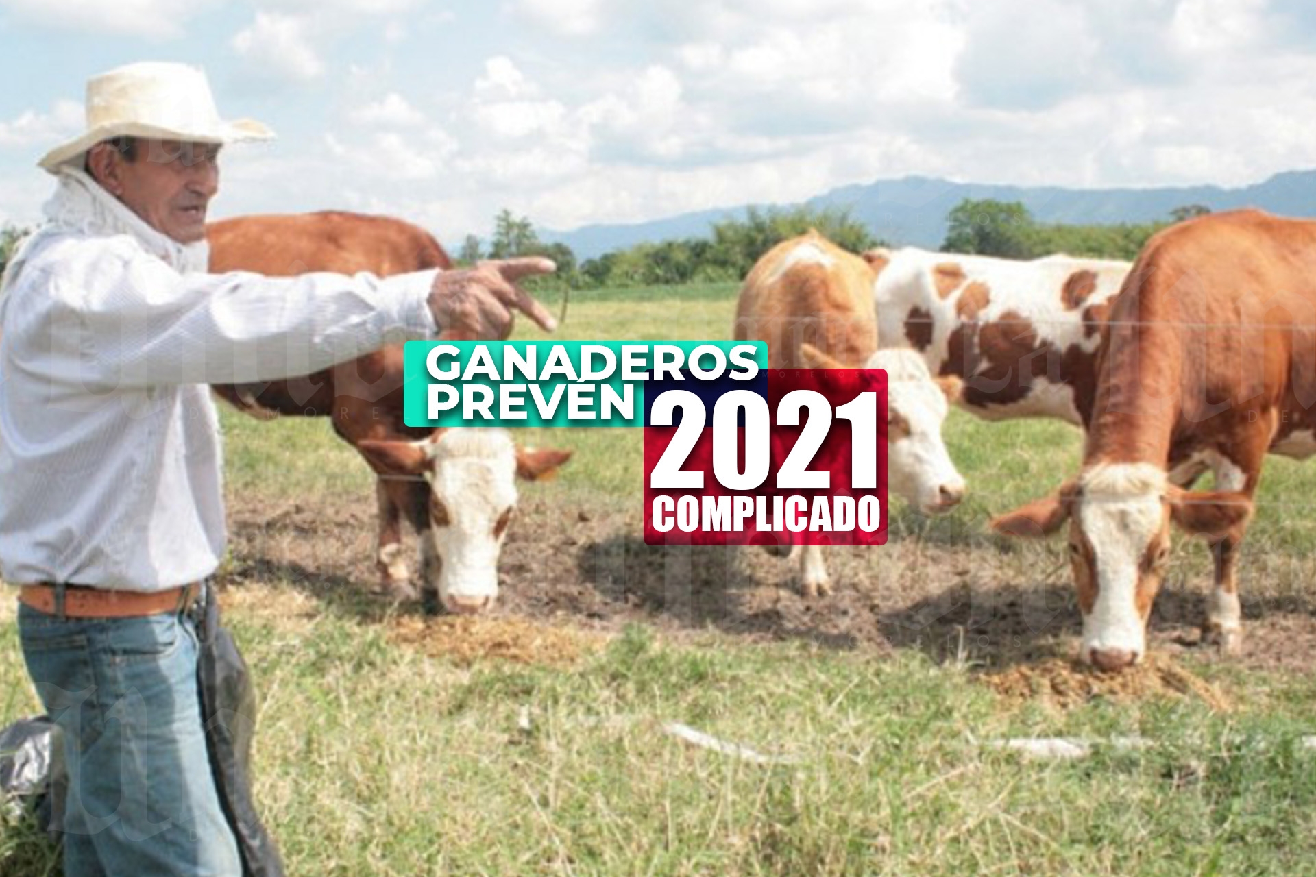 Ganaderos prevén panorama complejo para este año