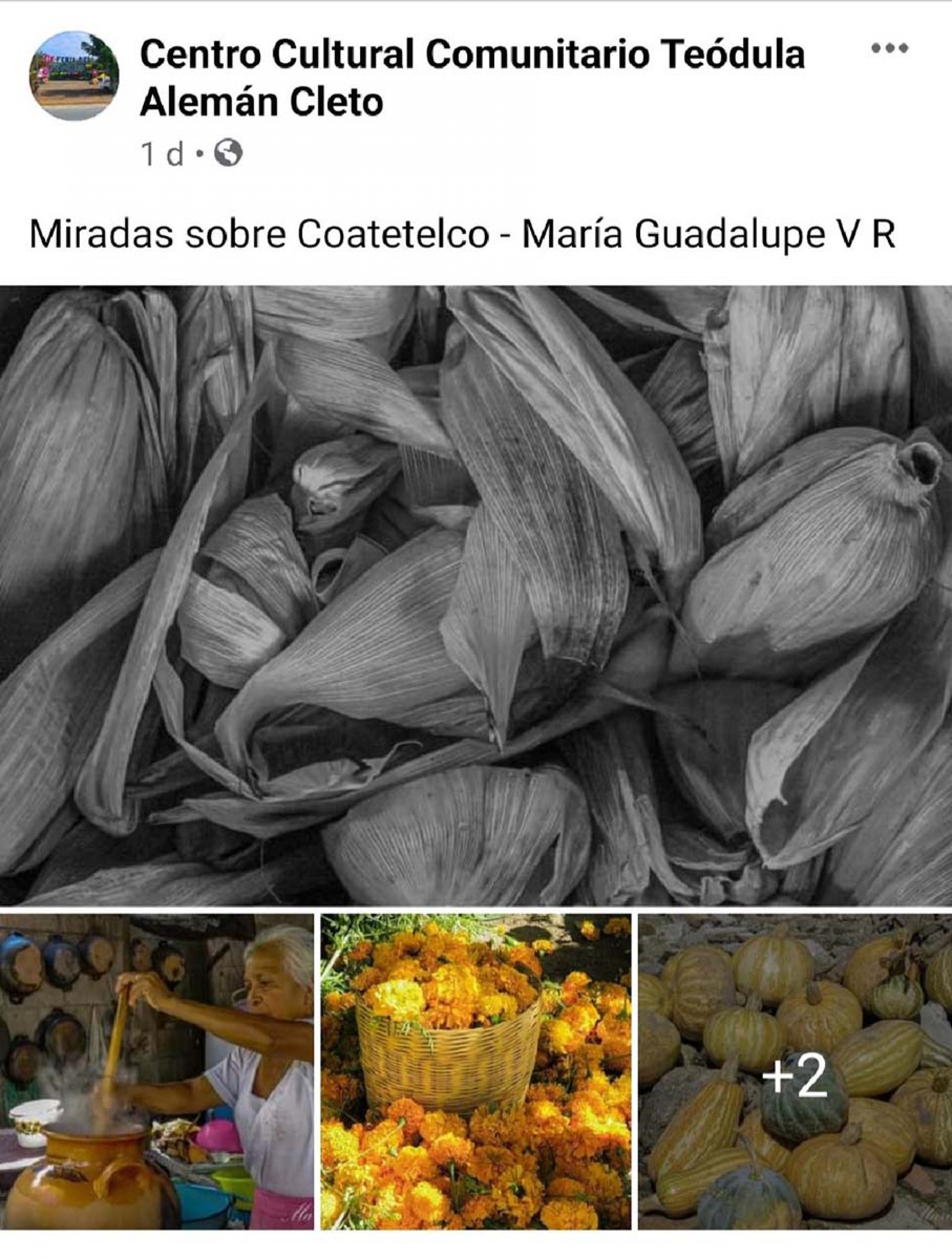 Realizan exposición fotográfica virtual de Coatetelco
