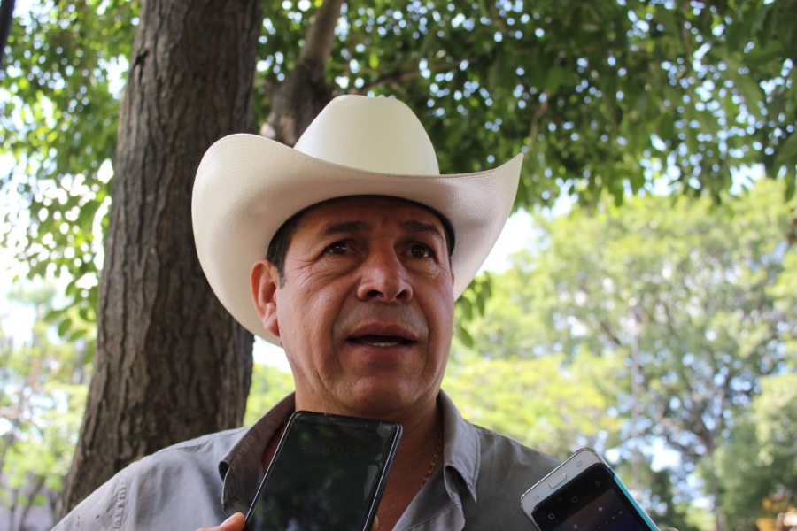 Para el cierre total de la zafra se espera un aumento en el precio de la caña