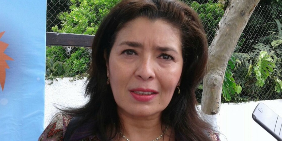 Señala directora del DIF estatal que se requieren al menos 180 mdp para el 2017