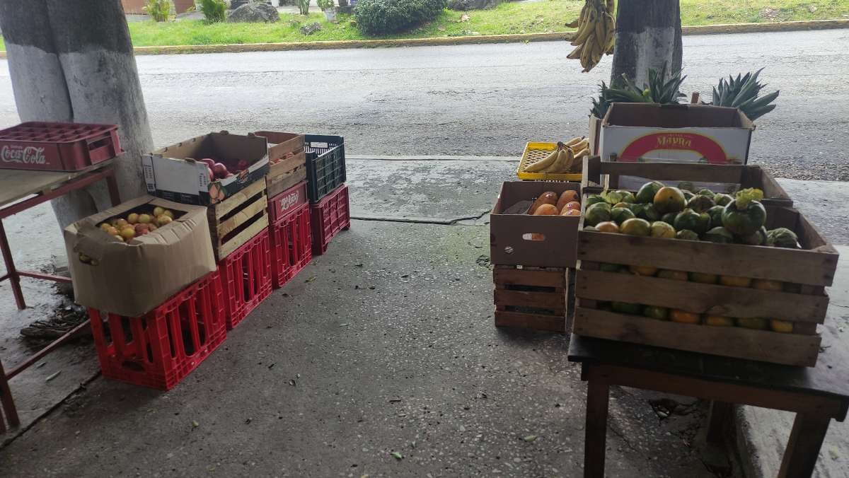 “La fruta de temporada ha perdido su calidad”