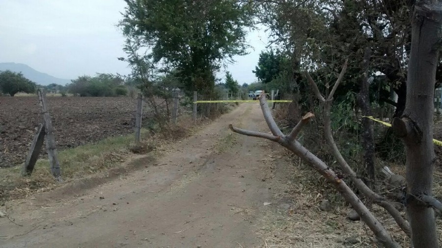 Asesinan a un jardinero y a un velador
