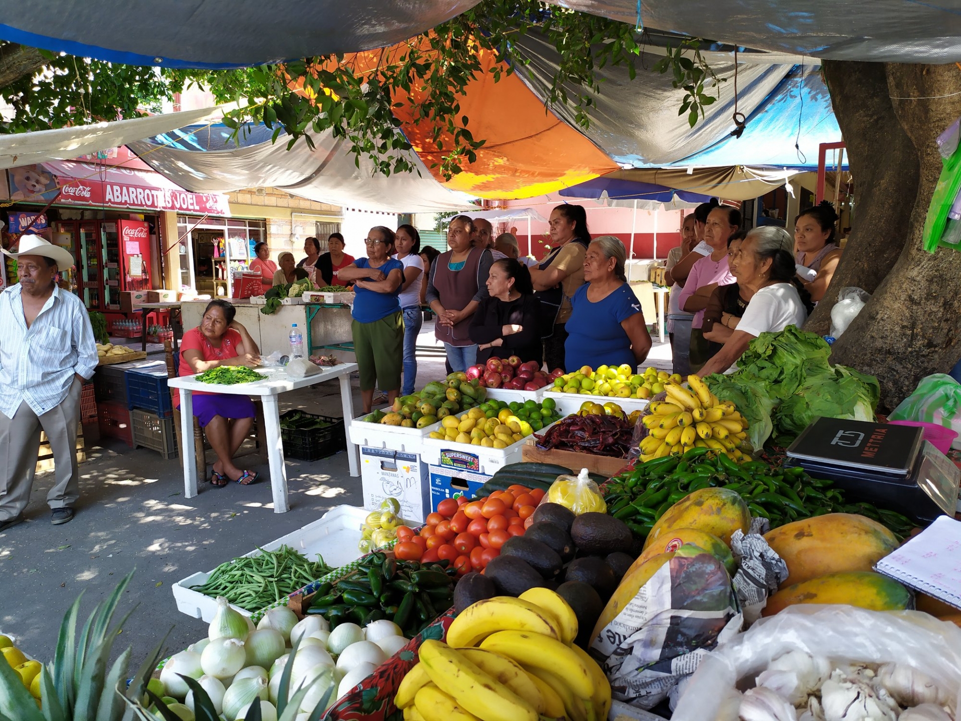 Reorganizan comercio en el mercado municipal de Coatetelco