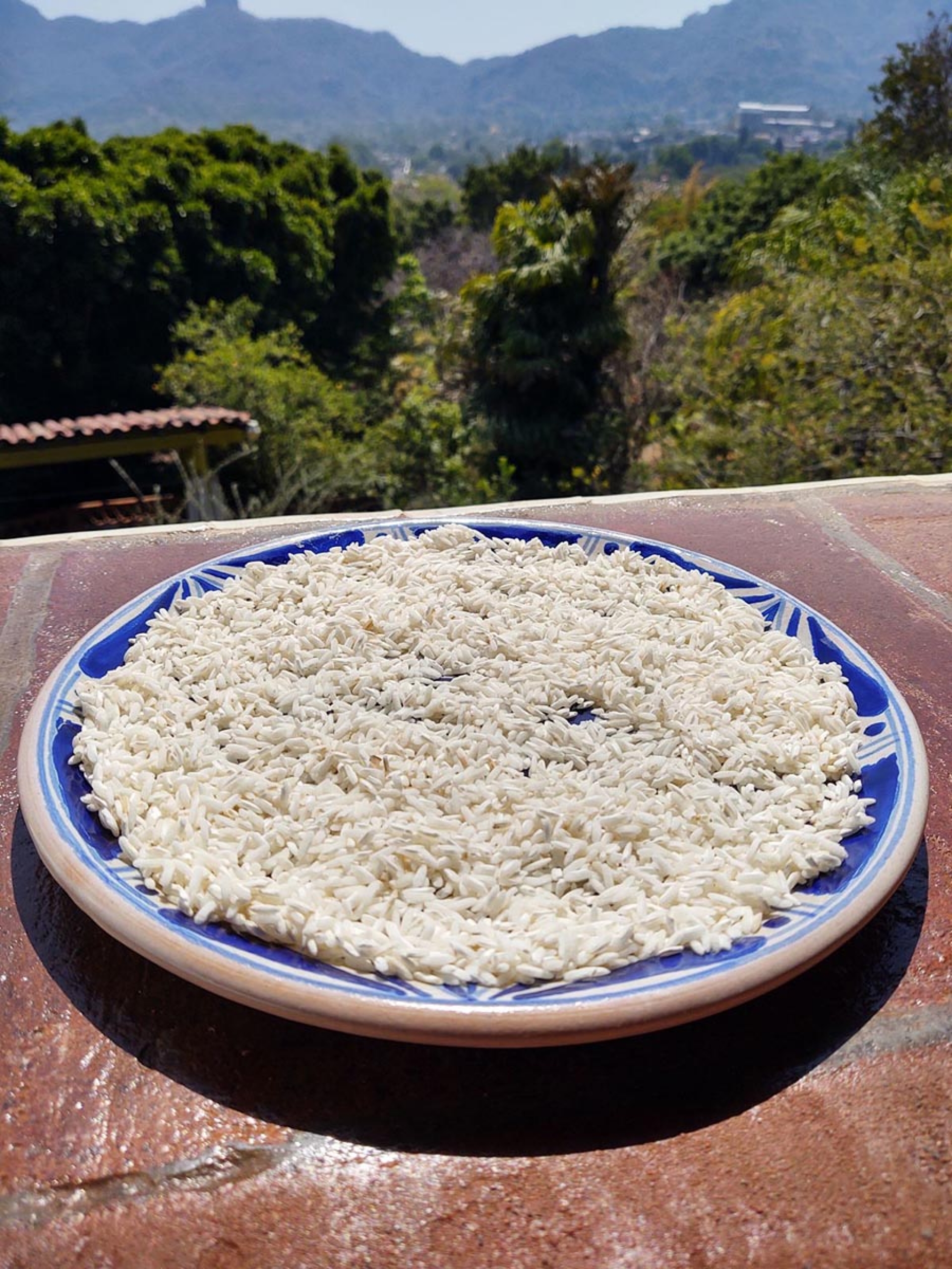 La cocina del arroz en la Villa Bonita Culinary Vacation