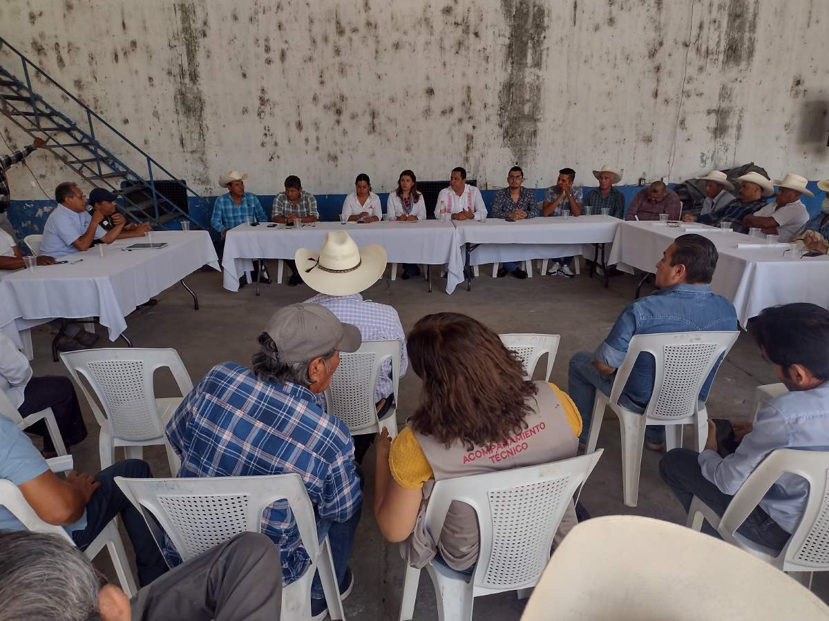 Colocarán aretes sin costo para ganado en Jojutla