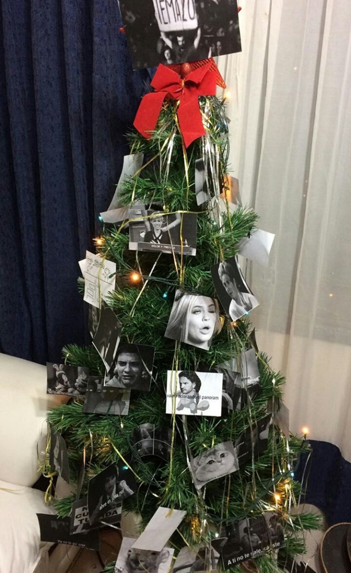 Este arbolito ya ganó la Navidad