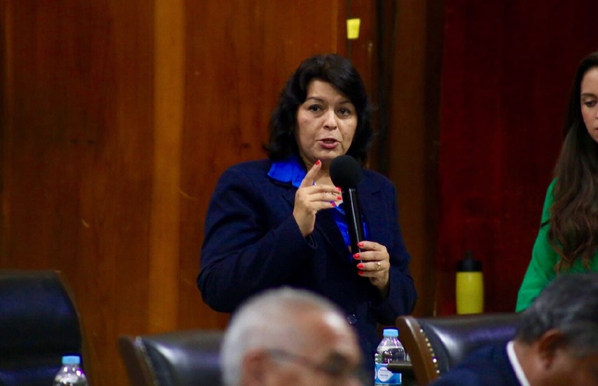 Piden destinar recursos suficientes para continuar Alerta de Género en 2017