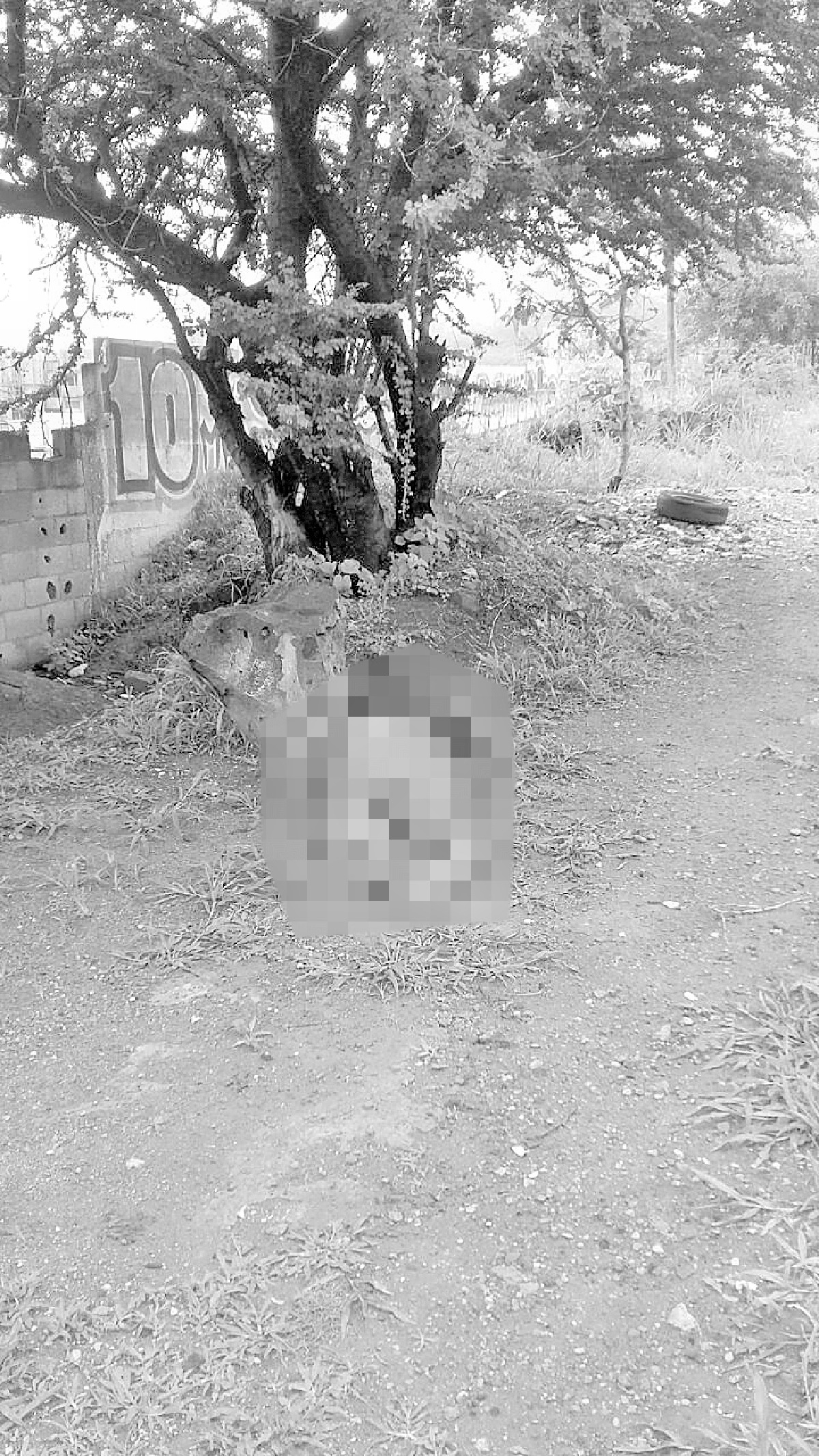 Hallan un cadáver dentro de un terreno baldío en Emiliano Zapata