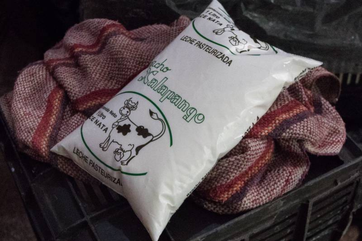 Gobierno abrirá expediente sobre leche radioactiva de la Conasupo