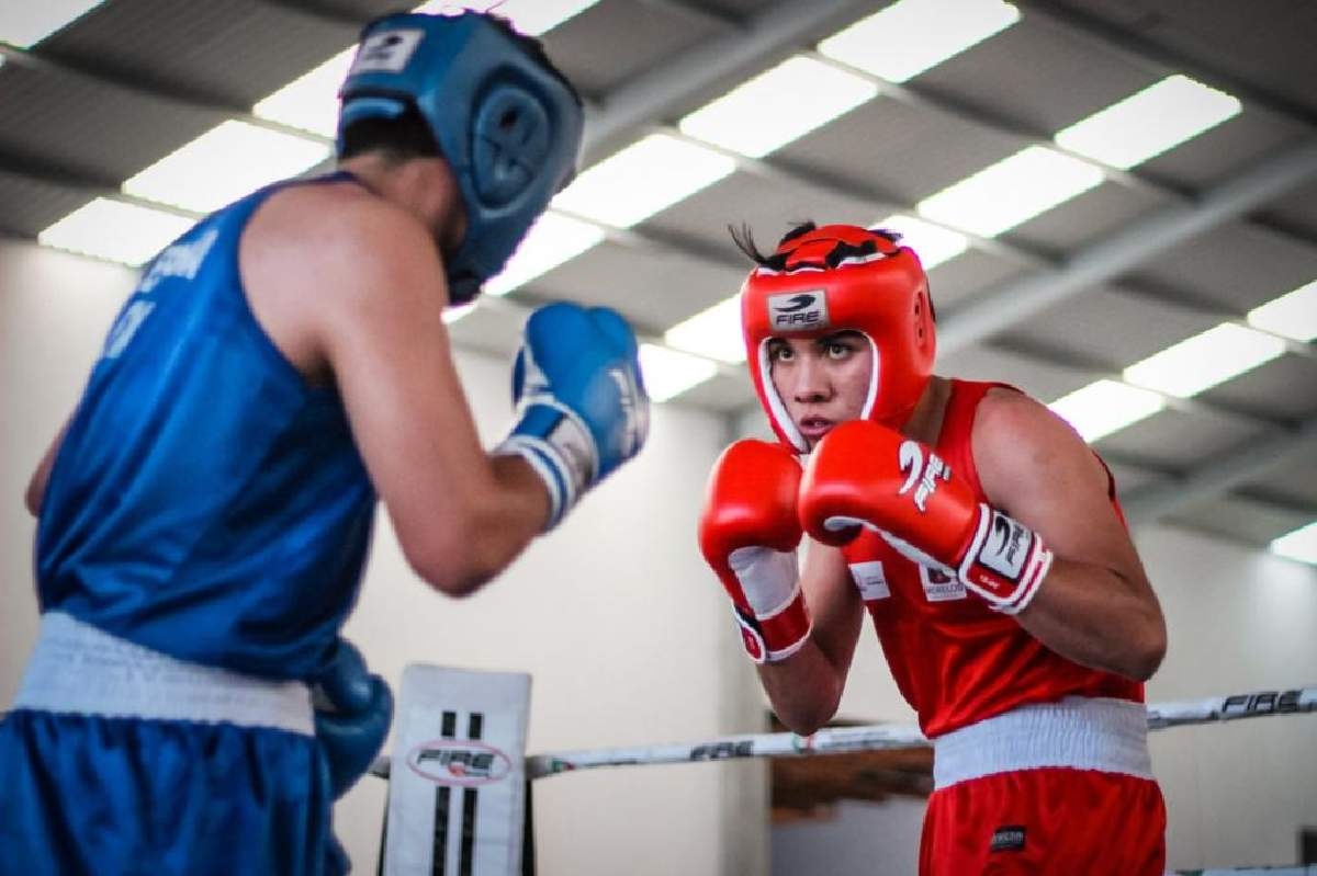 Se acercan las finales del torneo de Novatos del boxeo