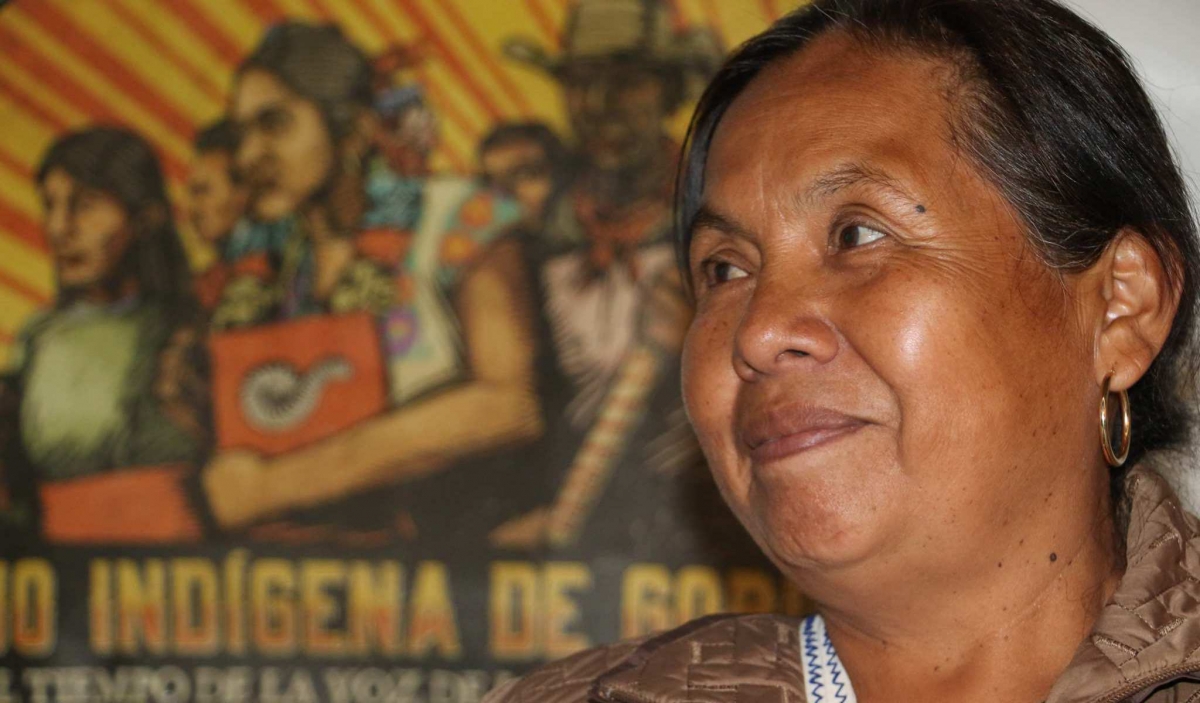 Mujer, indígena y zapatista: ¿obstáculos para 'Marichuy'?
