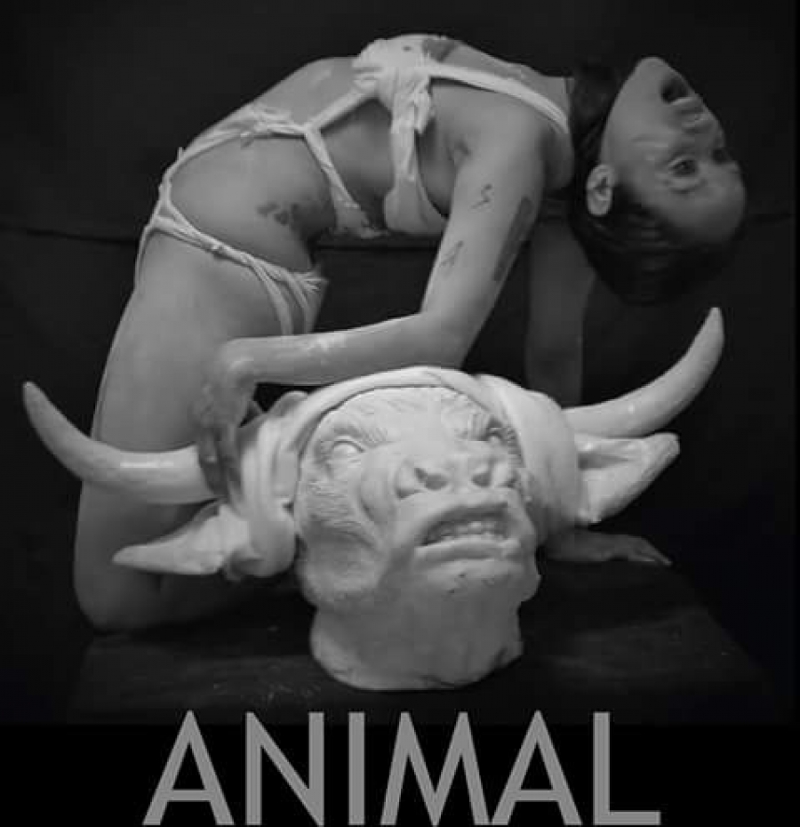 Invitan al performance Animal