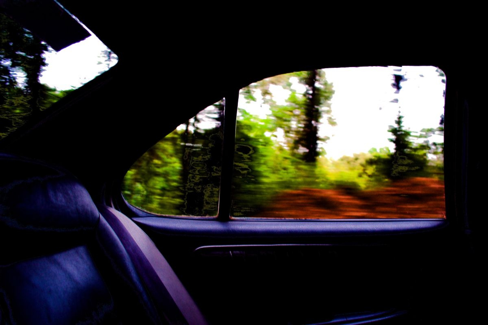 En el camino