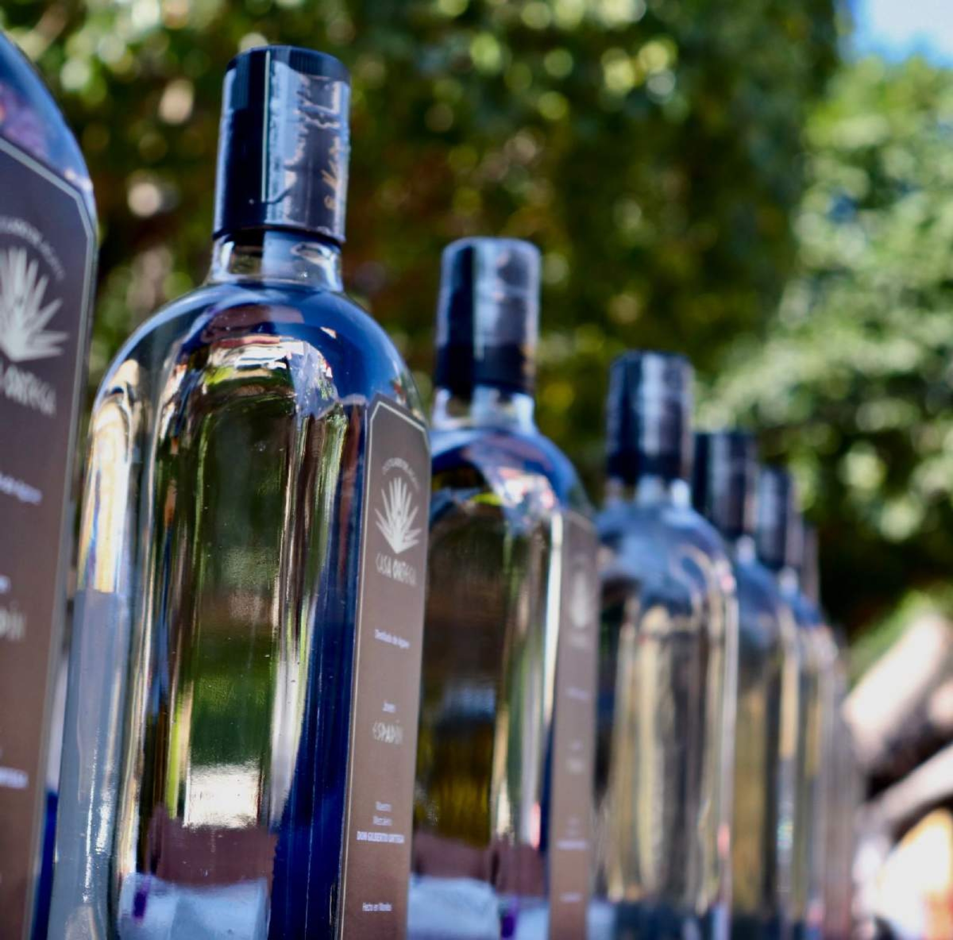 Confirman ley seca en municipios del sur