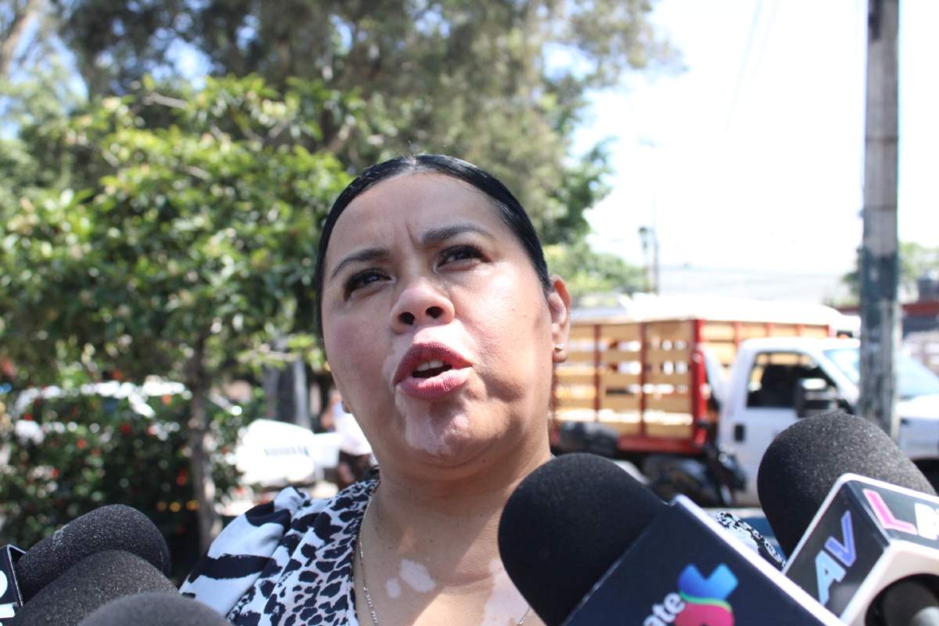 Bajo, interés en adoptar mascotas en Cuernavaca