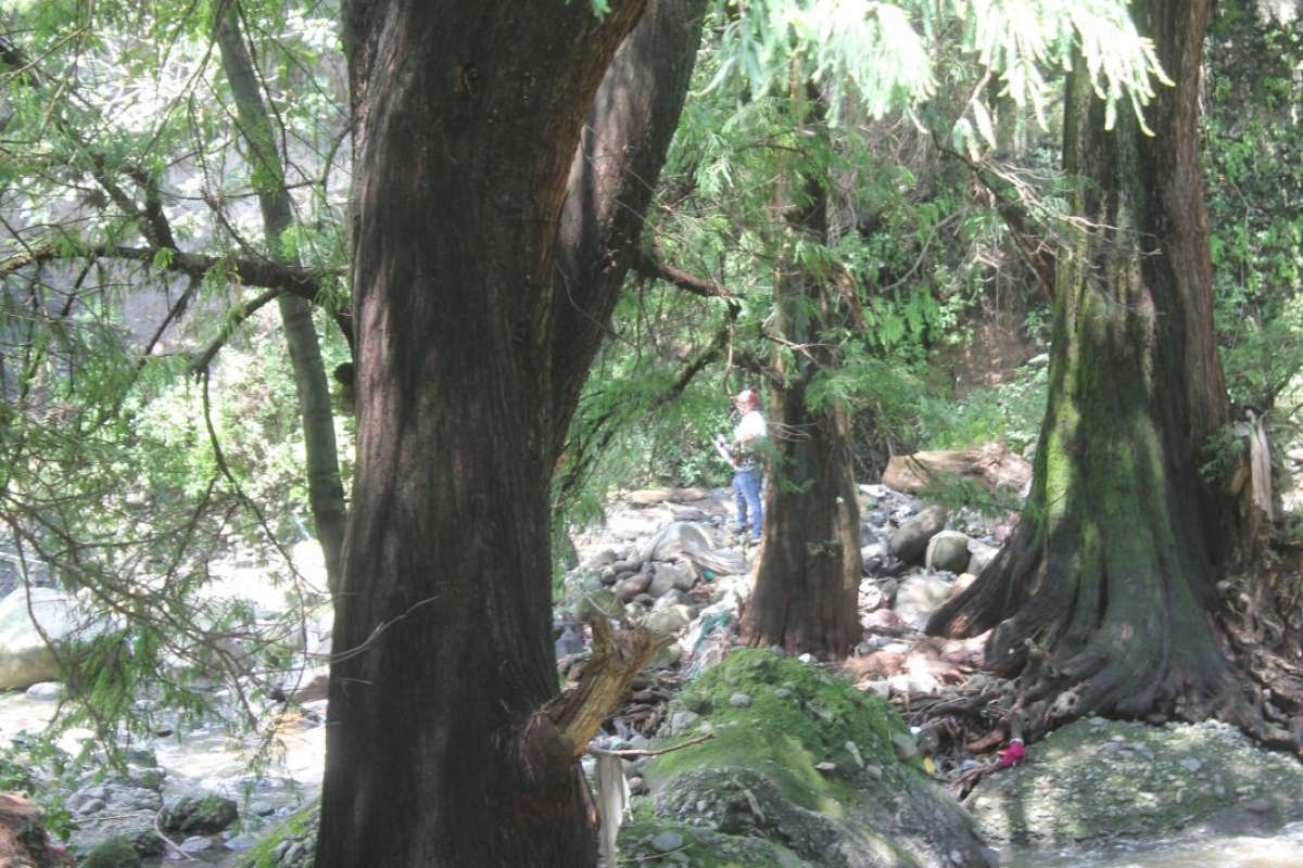 Hallan muerto a un joven en la Lagunilla