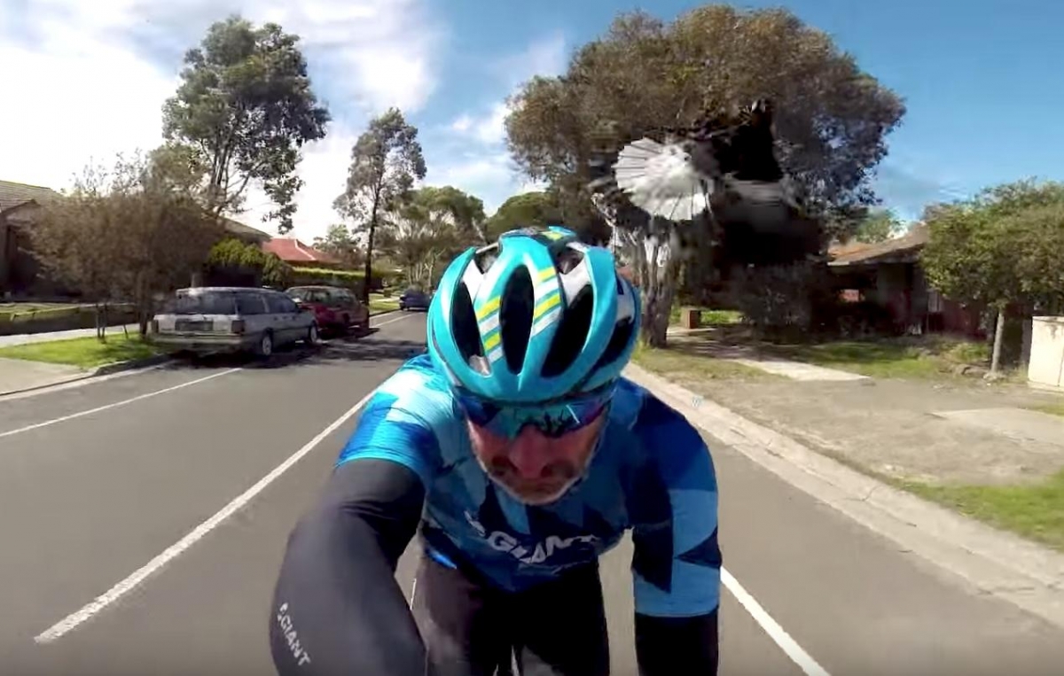 Ciclista enfrenta a un 'angry bird'