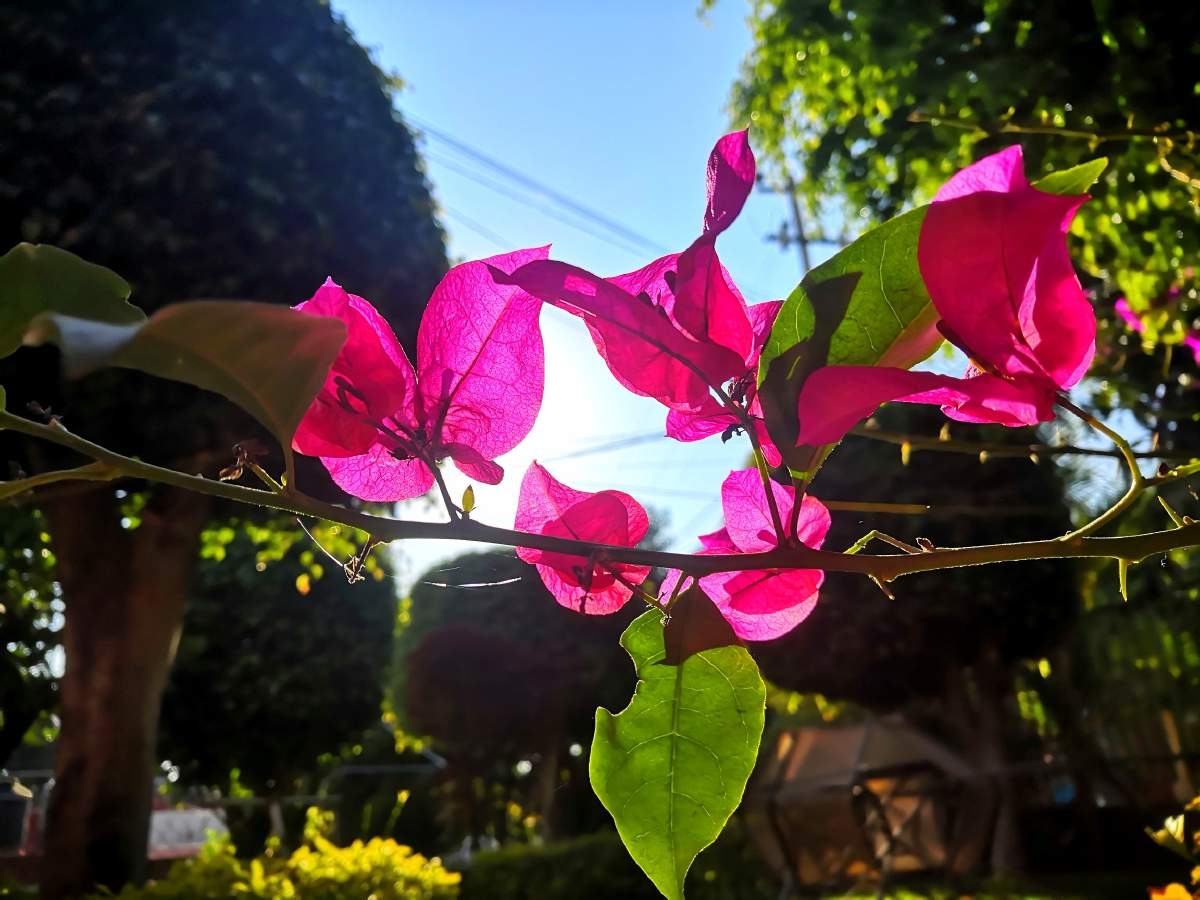 La belleza está en el ojo de quién la ve
