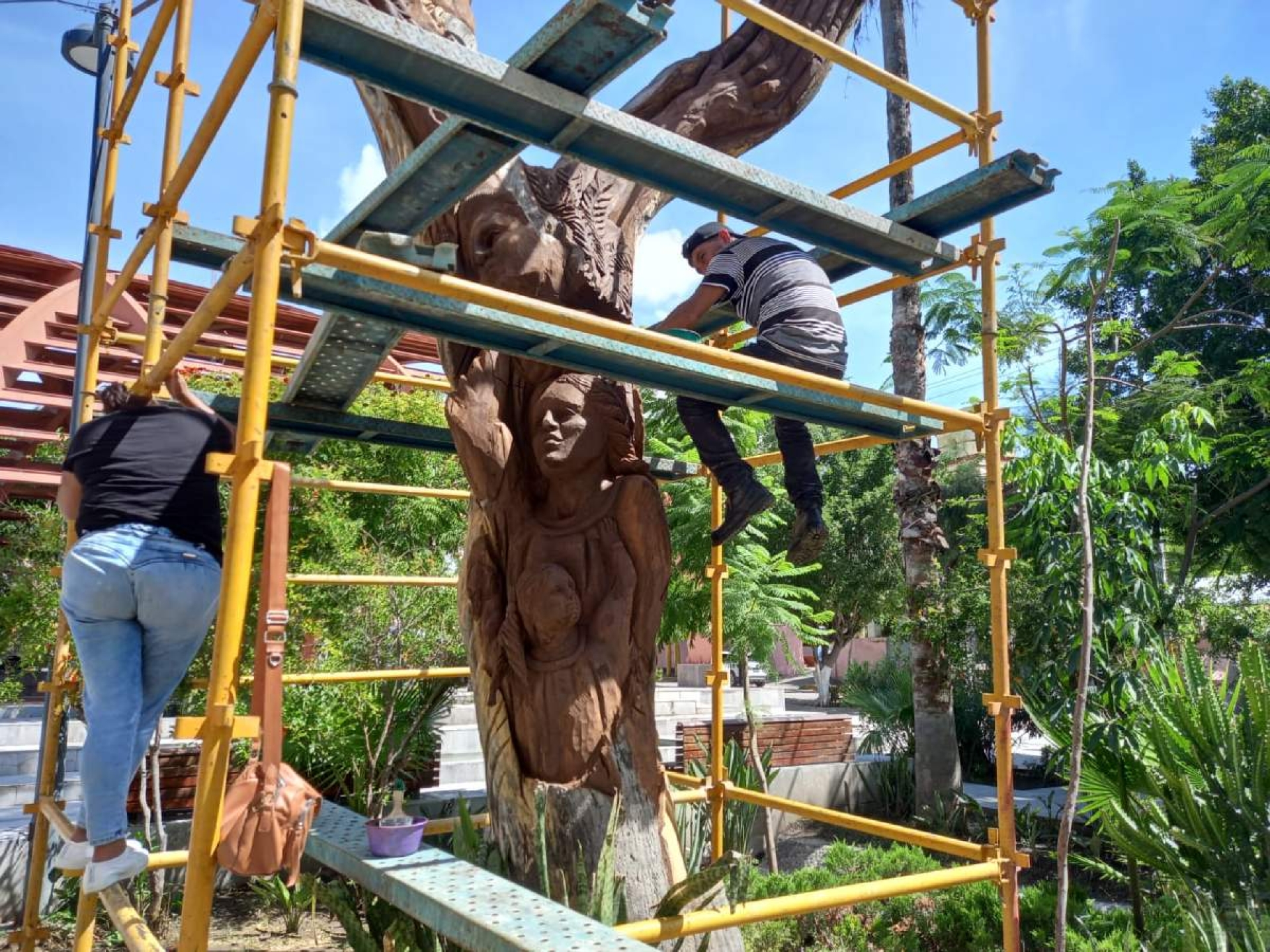 Aprovechan árbol seco para crear una escultura