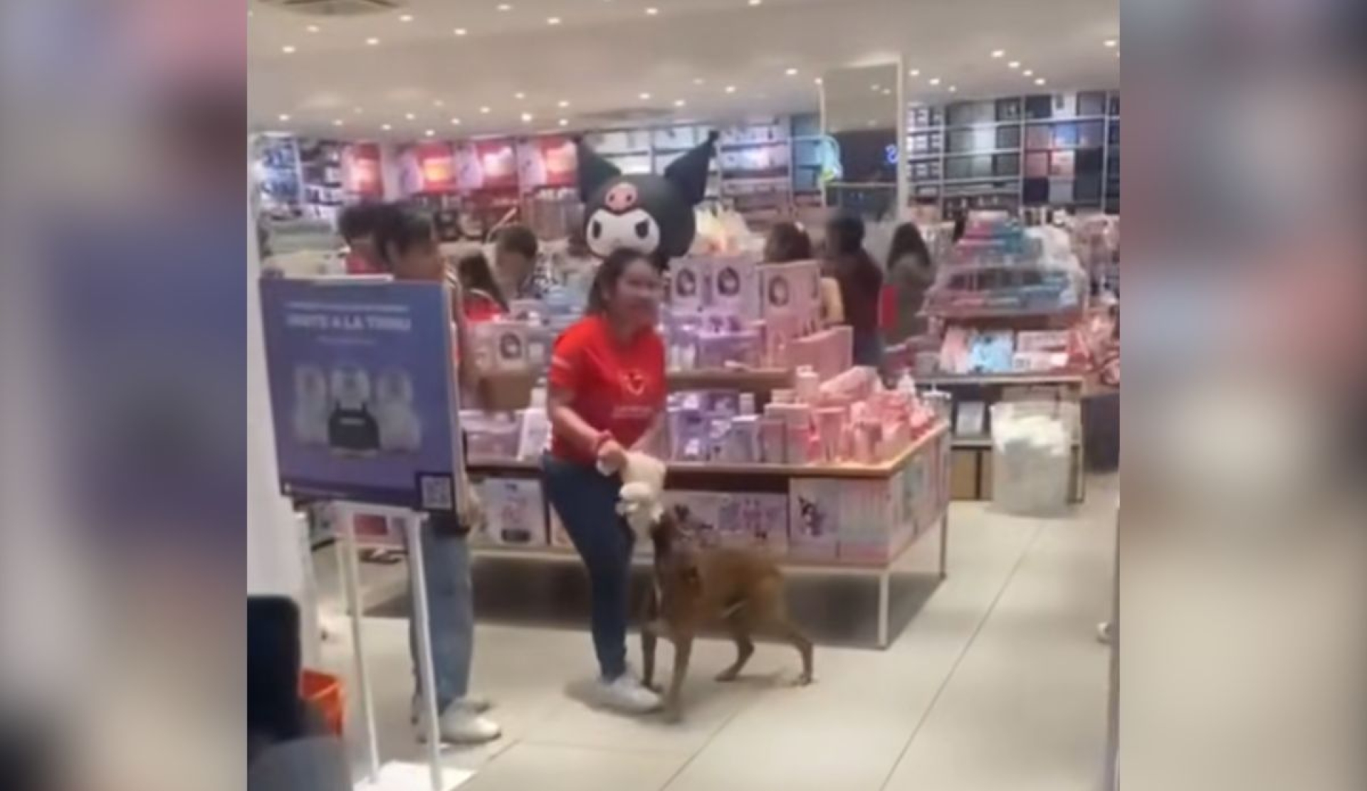 Clientes compran peluche a perrito callejero en Mérida y se vuelve viral