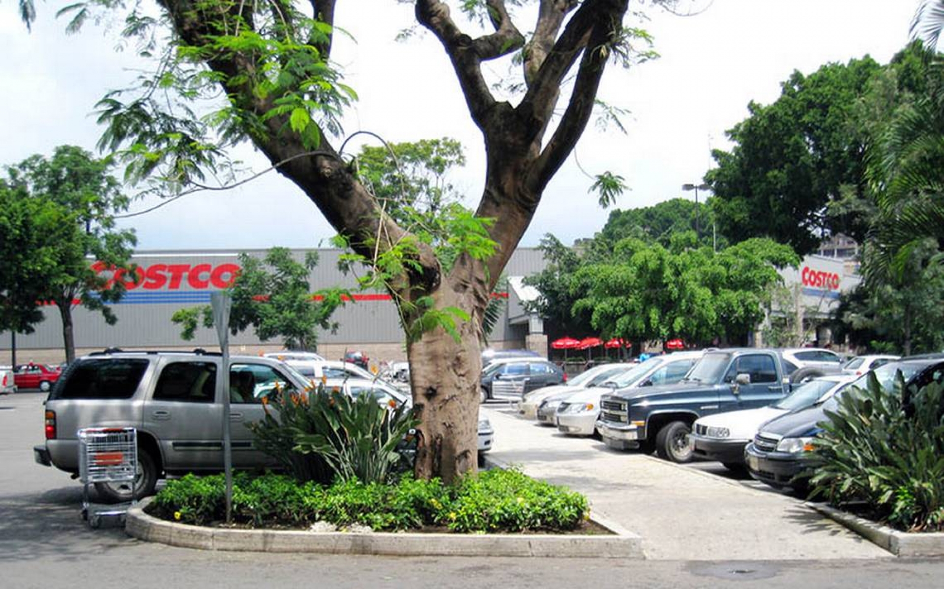 Se suman plazas a estacionamiento gratuito
