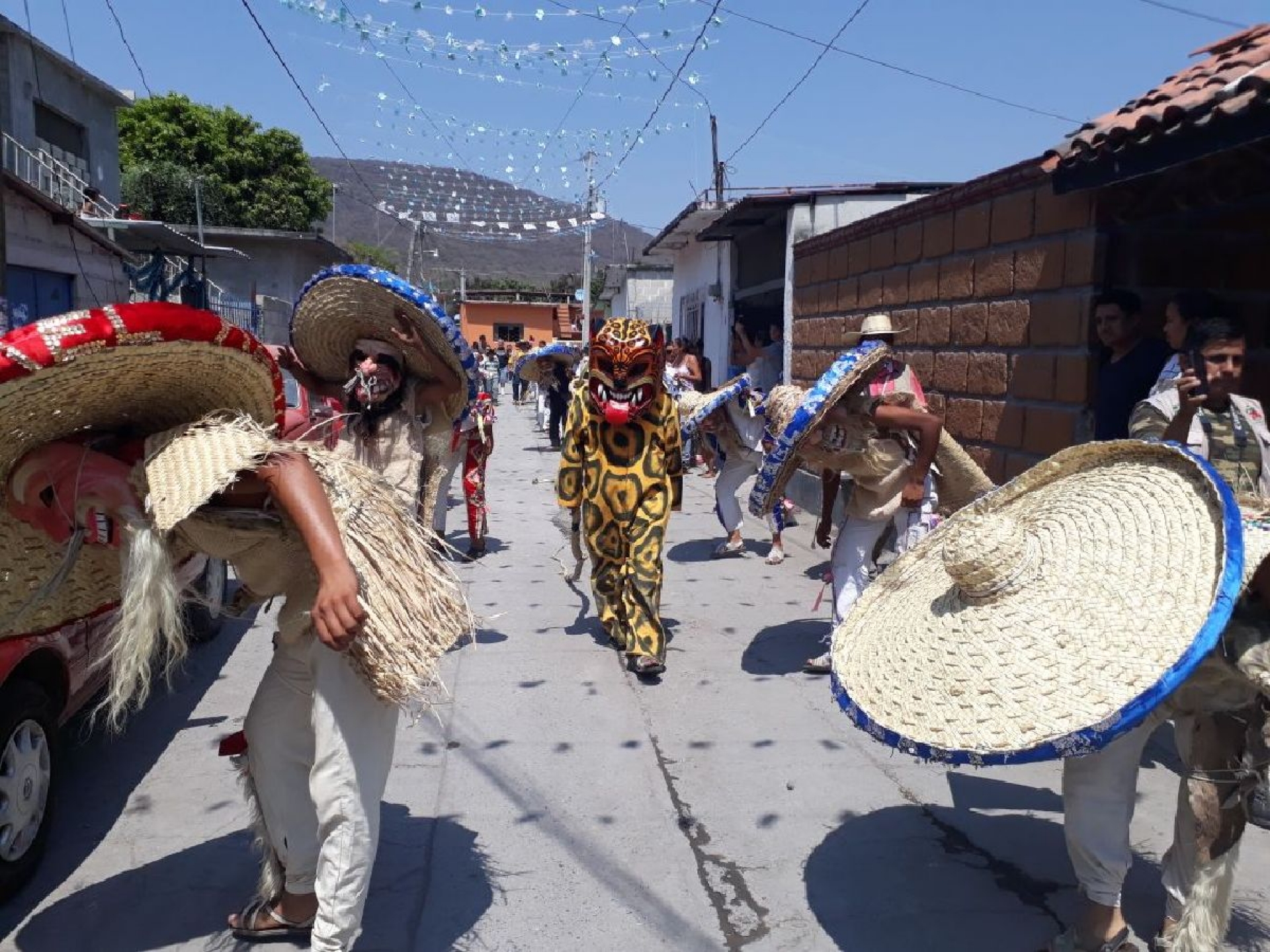 Realizan Segundo Encuentro Nacional de Tecuanes en Tetelpa
