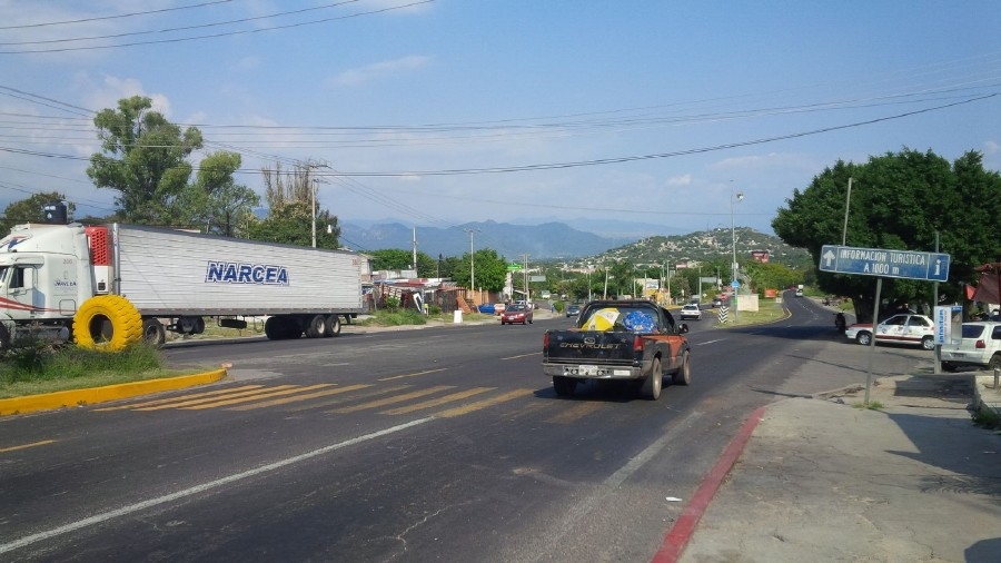 Alertan sobre peligro en la carretera Cuernavaca-Cuautla por presencia de ganado