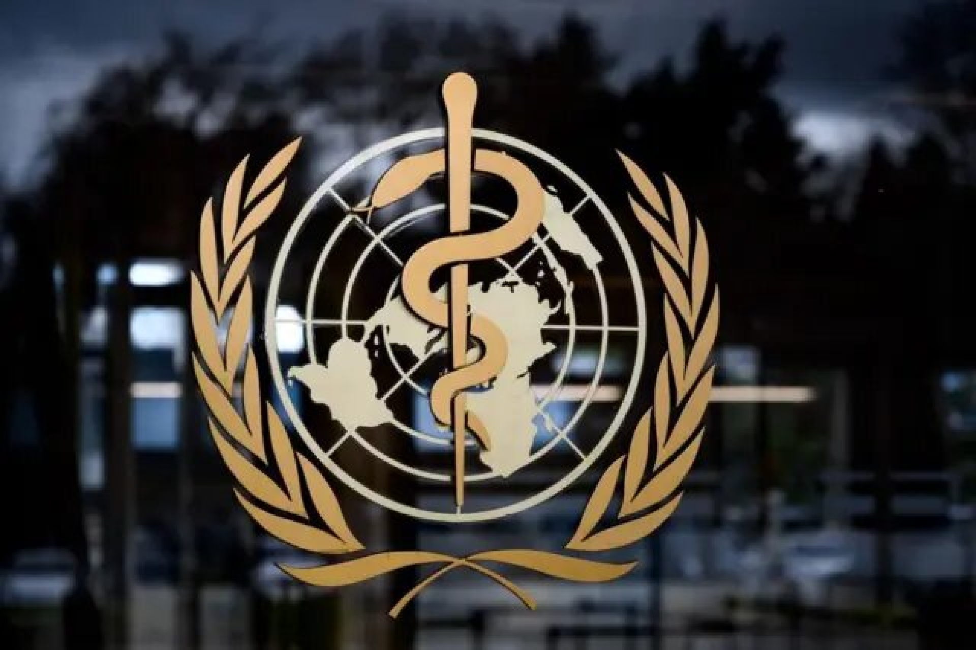 Estados Unidos se retira de la OMS en 2026, confirma la ONU