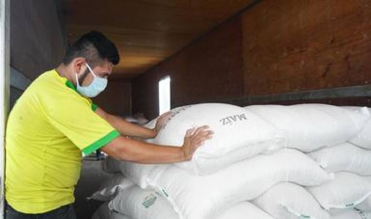 Inminente, el aumento del precio de la tortilla en la región sur