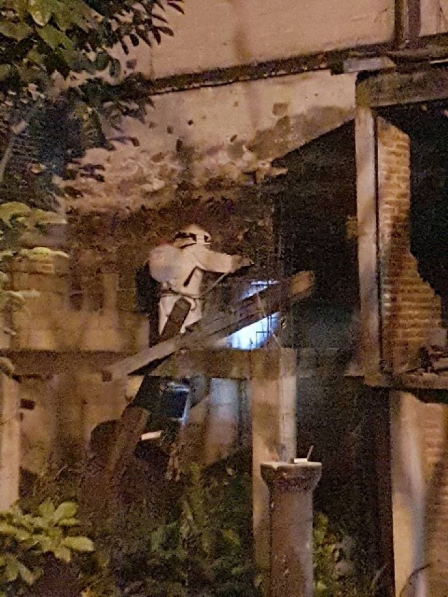 Diez personas fueron atacadas por abejas en Zacatepec