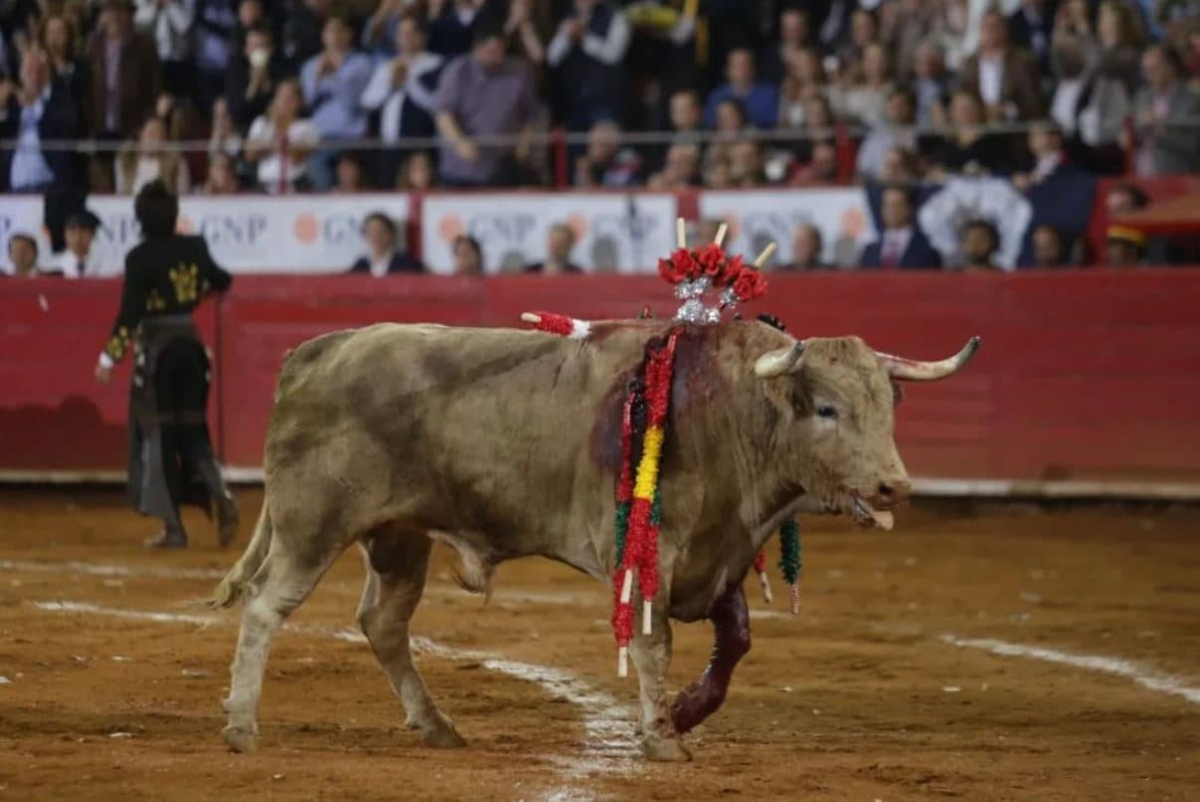 Congreso de CDMX frena dictamen para prohibir corridas de toros