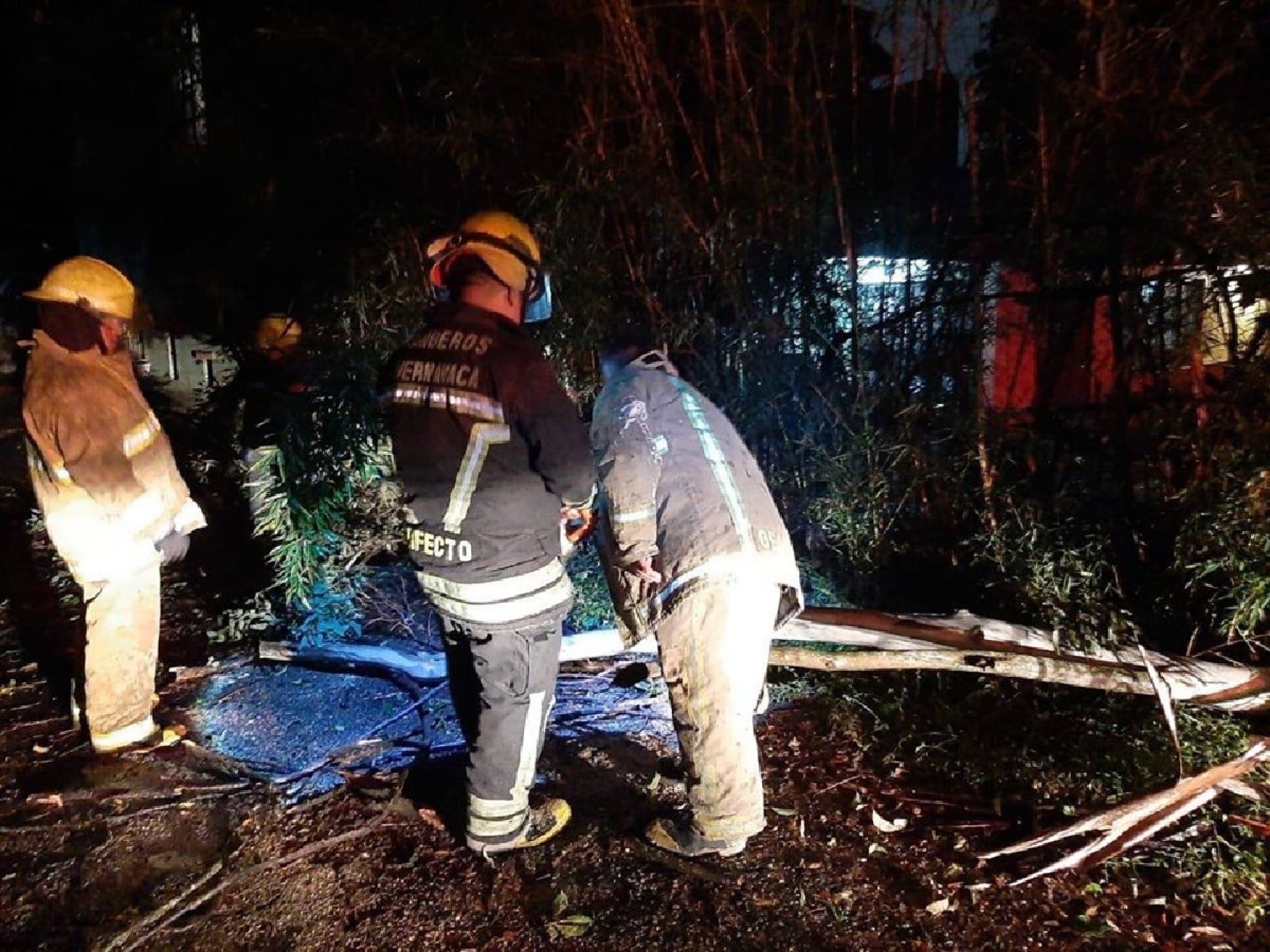Caída de árboles y encharcamientos en Cuernavaca