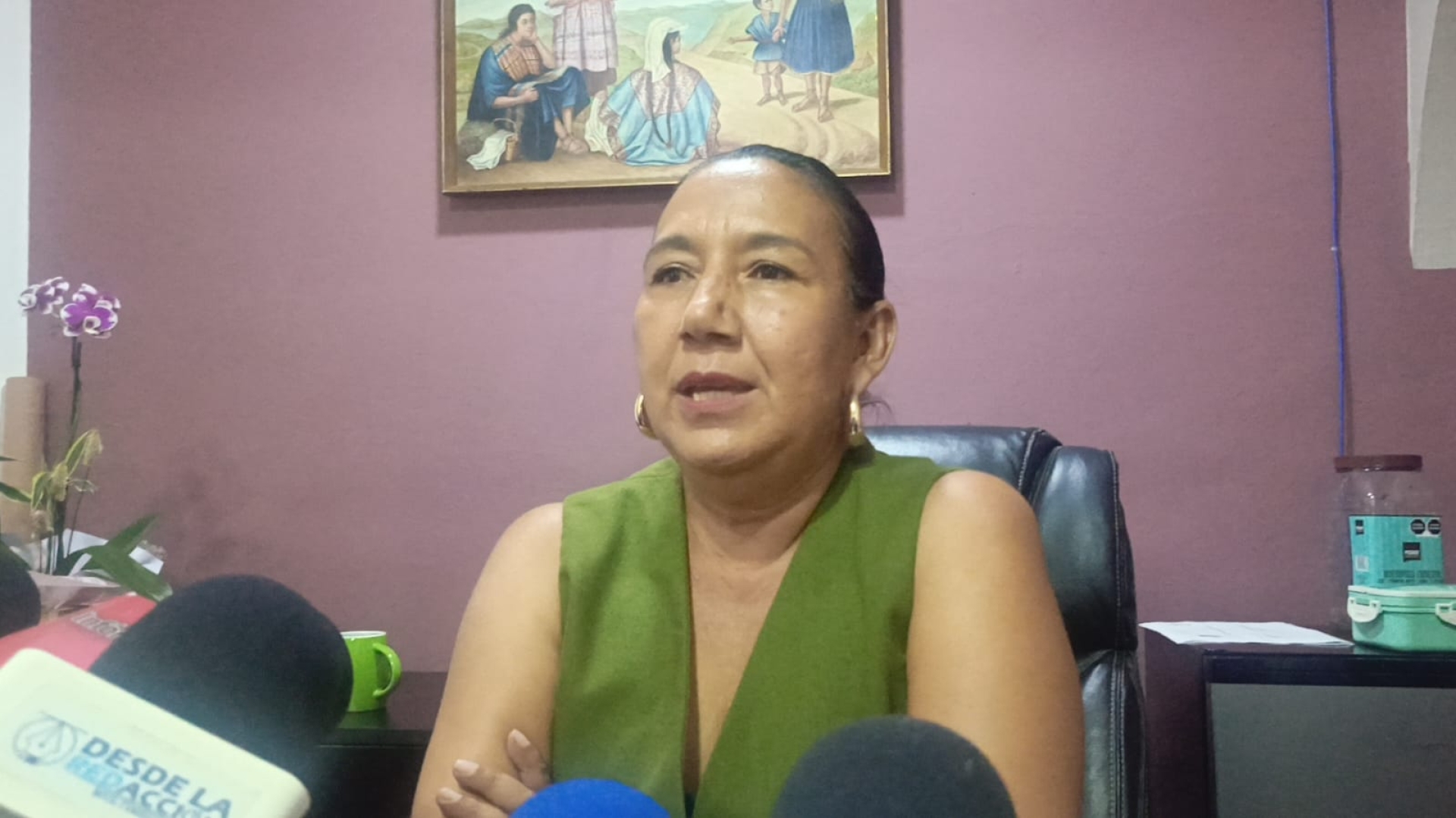Fumigará ayuntamiento capitalino 90 escuelas ubicadas cerca de barrancas, para prevenir casos de dengue