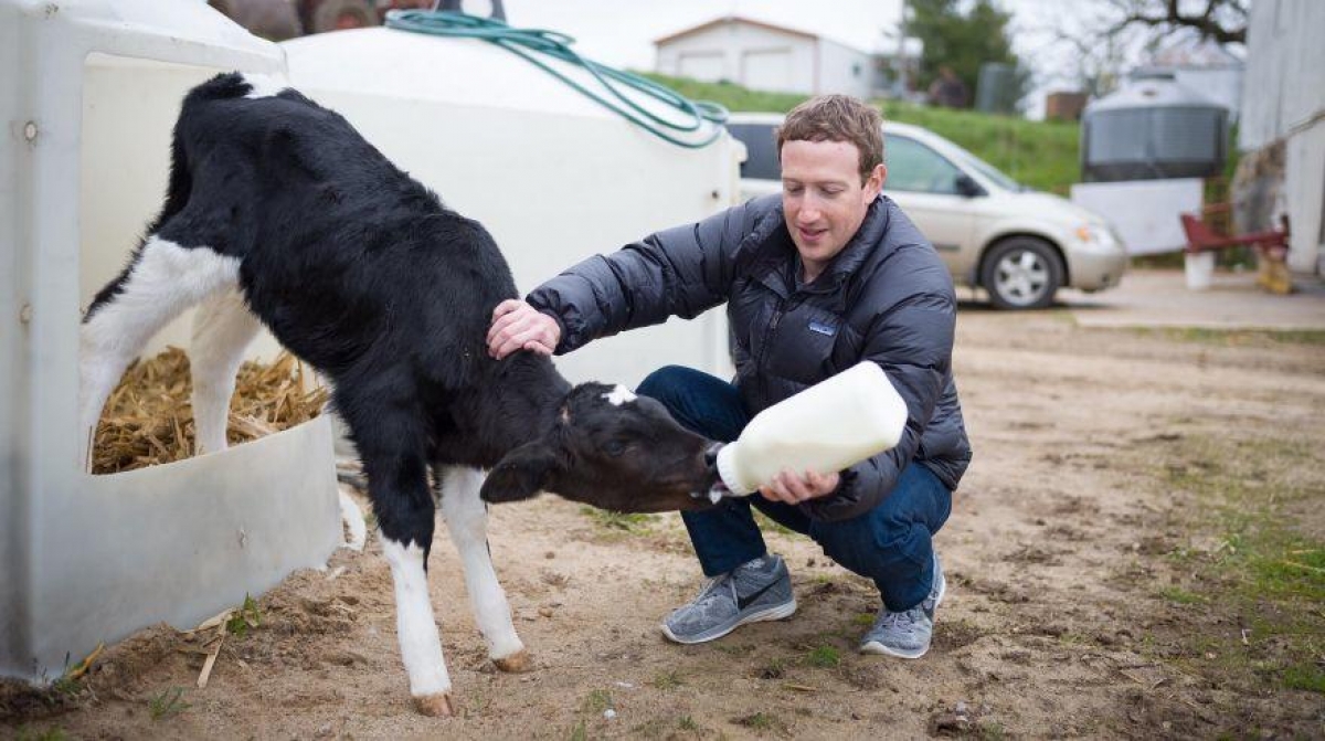 Deja Facebook y se vuelve todo un 'Granjero' por un día