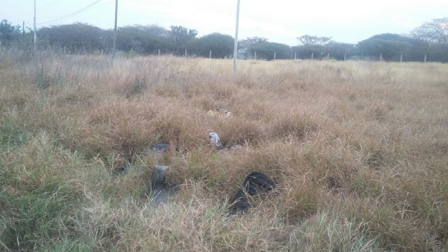 Encontró un muerto en un camino de terracería