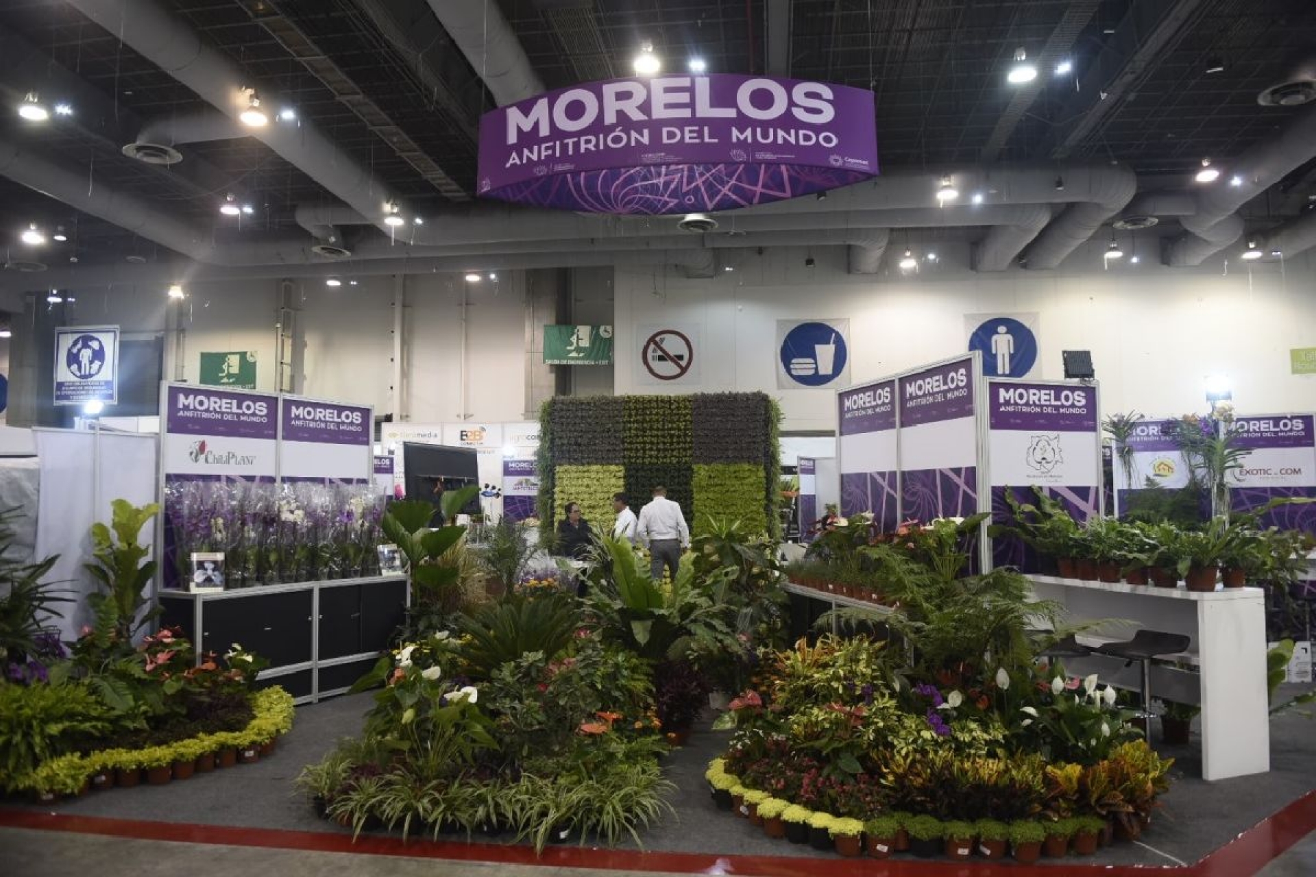 Proyecta Cuauhtémoc Blanco horticultura morelense a nivel internacional