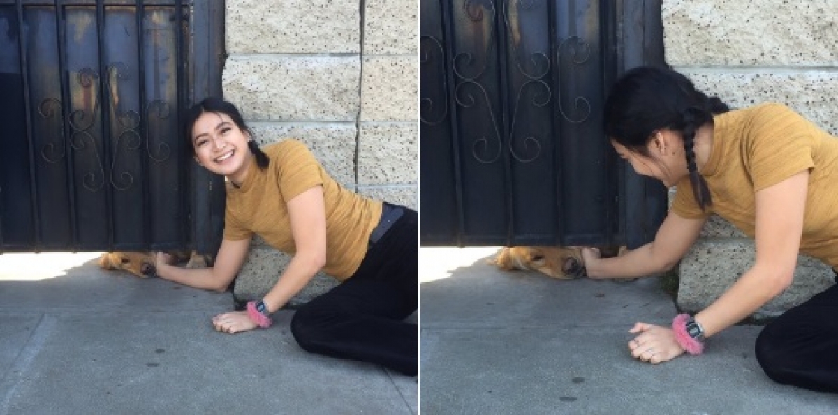 Todos los días espera a que su vecina lo acaricie