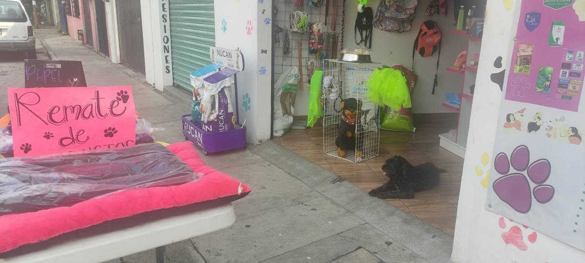 Las lluvias la obligan a cerrar su negocio