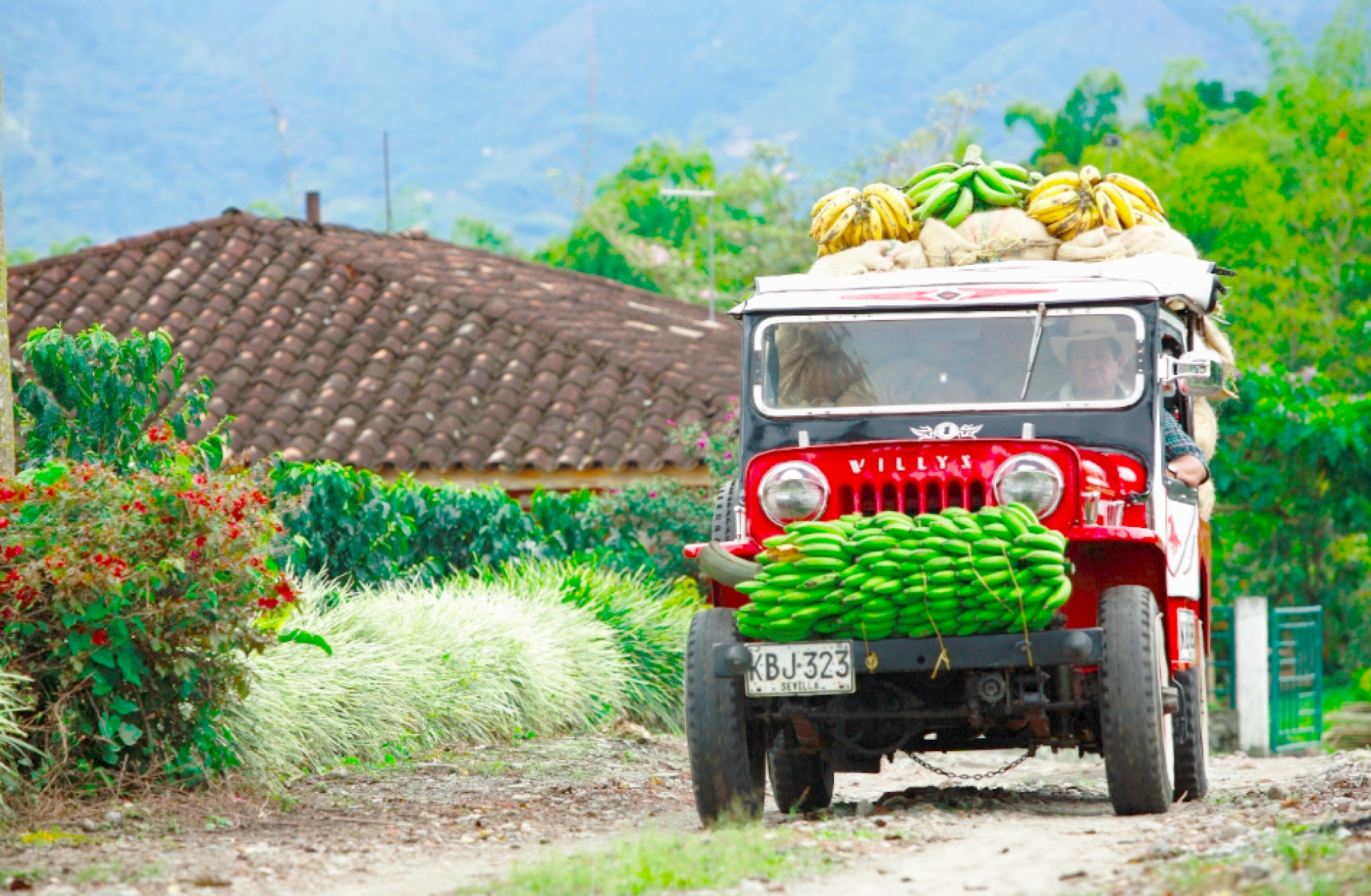 Todas las razones me llevan a Colombia