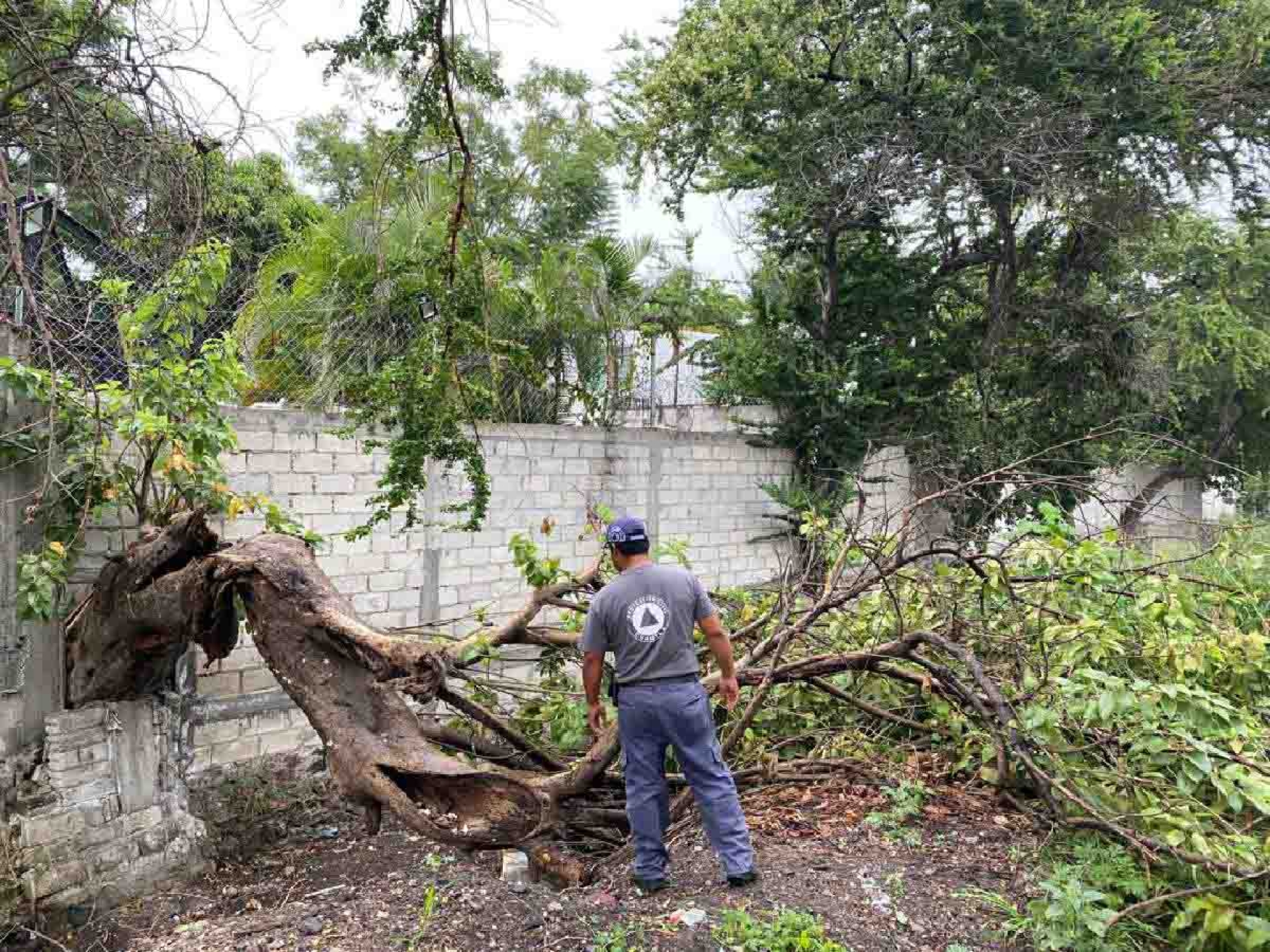 En guardia, Protección Civil de Cuautla por lluvias