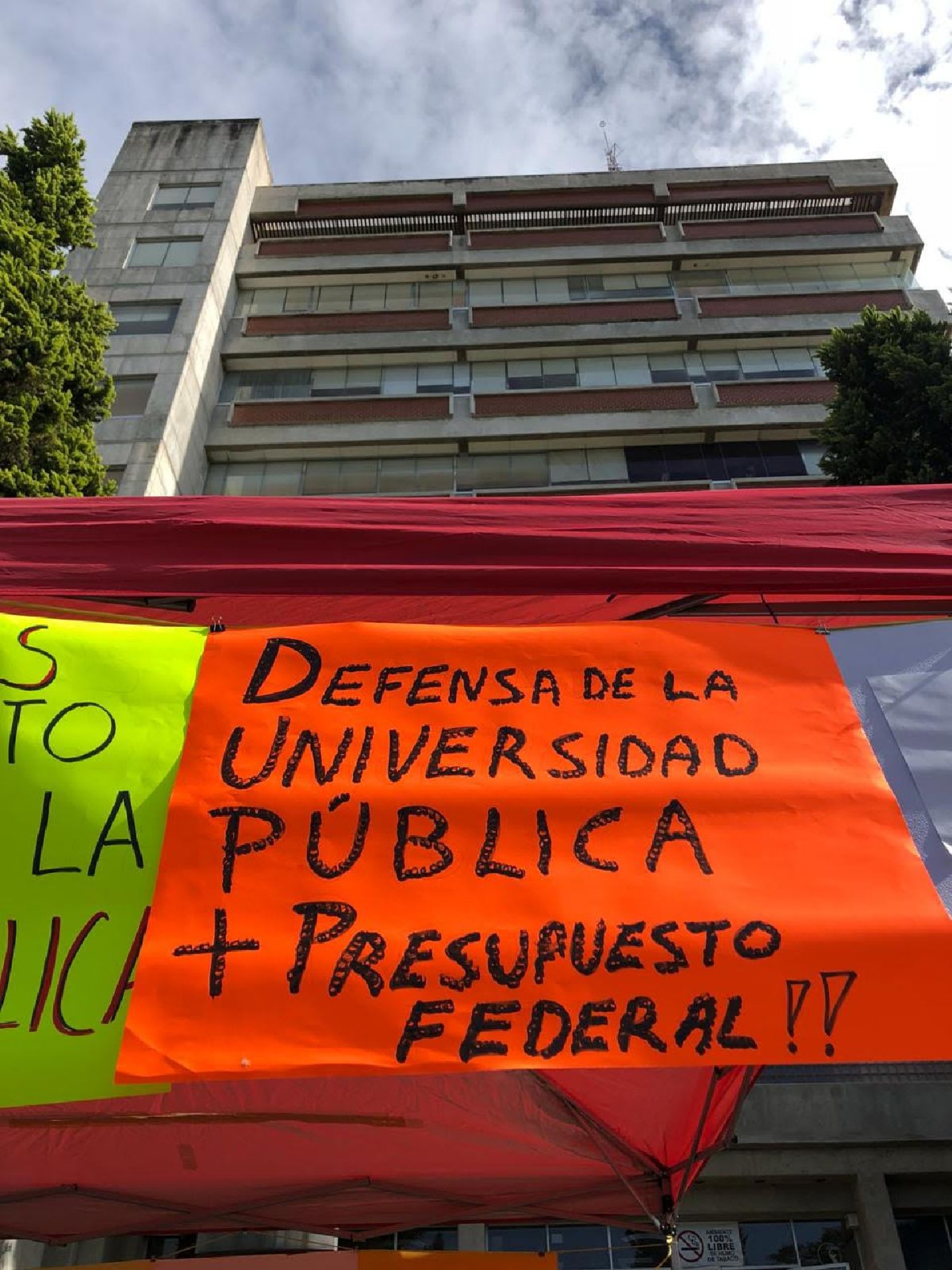 En peligro, titulaciones y campos clínicos