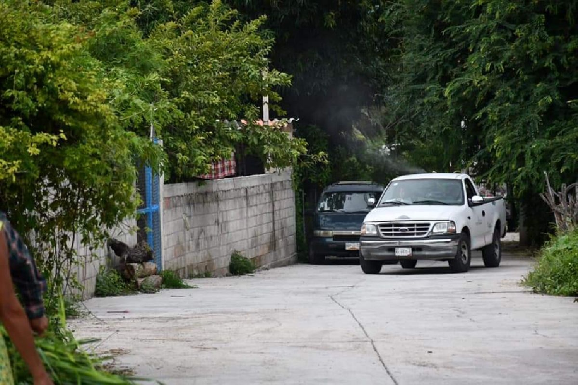 Refuerzan combate al mosco transmisor del dengue en Tetecala