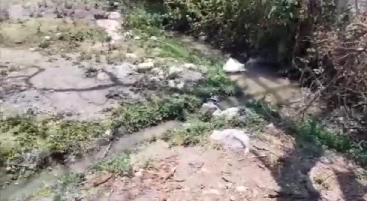 Buscan rehabilitar planta tratadora de aguas negras