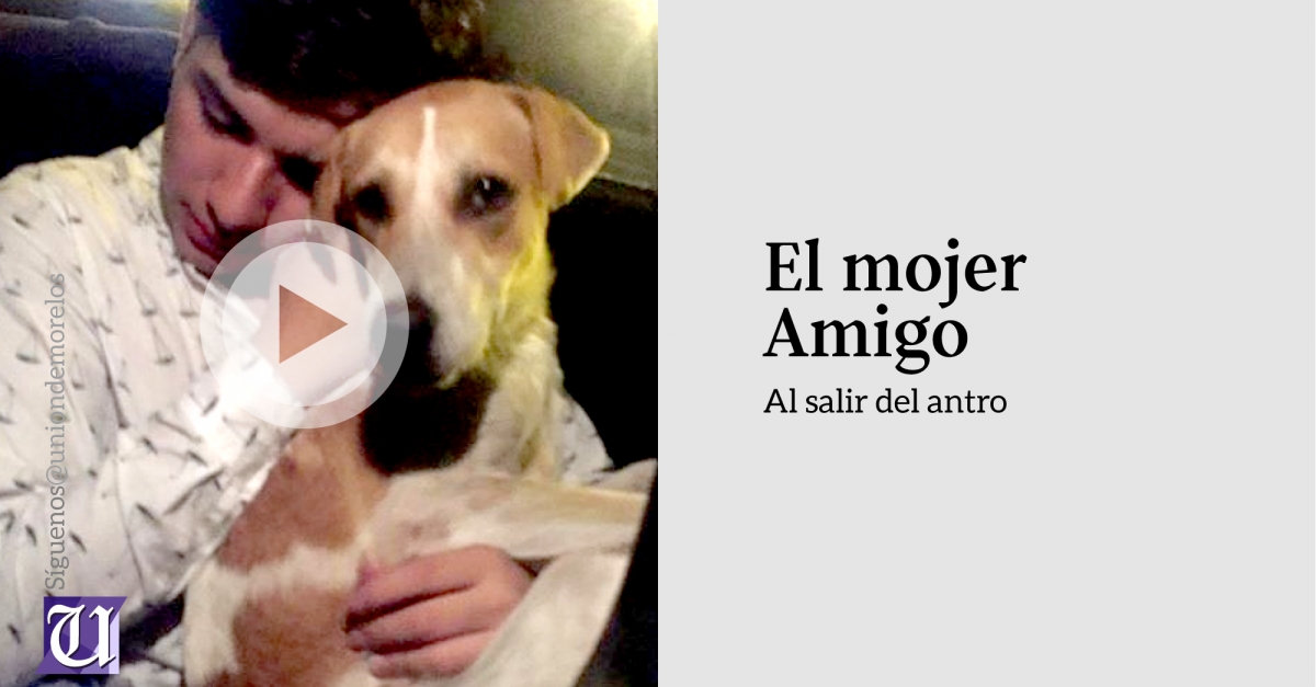 Video: Joven adopta perro al salir del antro
