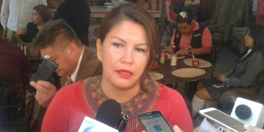 Confirma diputada que Congreso local estará a la espera de terna