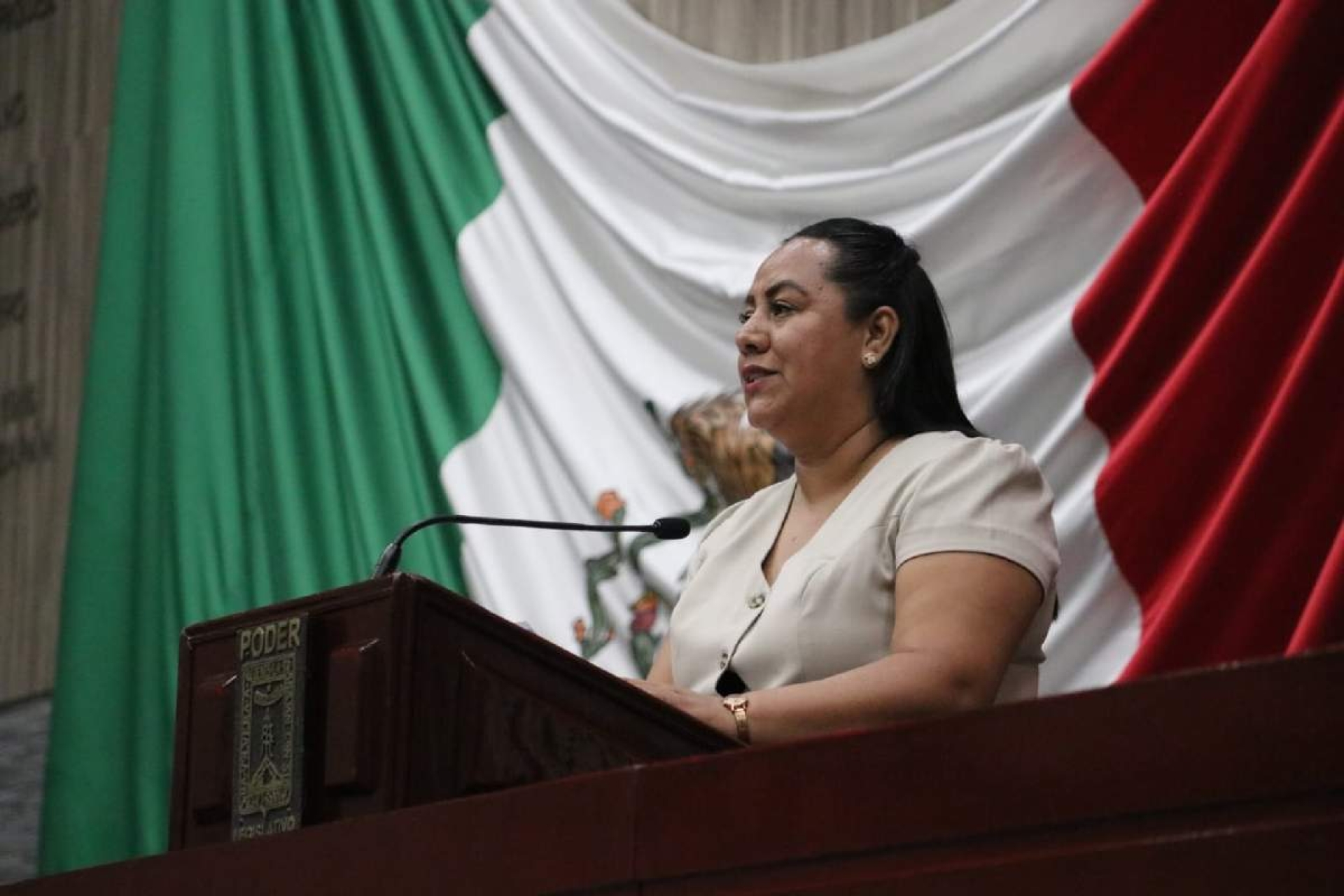 El Congreso aprobó reformas en seguridad